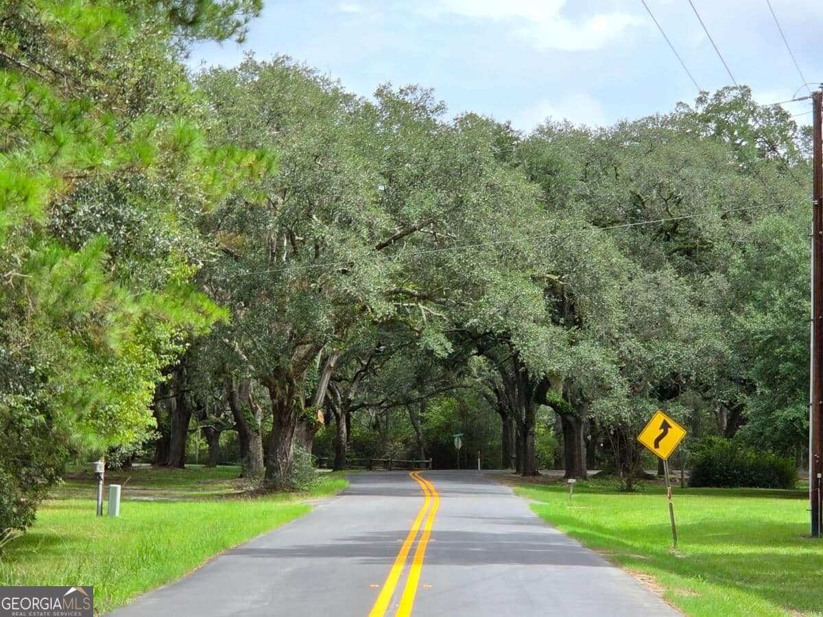 residential lot for sale at LOT 5 Seines Landing Drive, Springfield, GA 31329 — photo 10