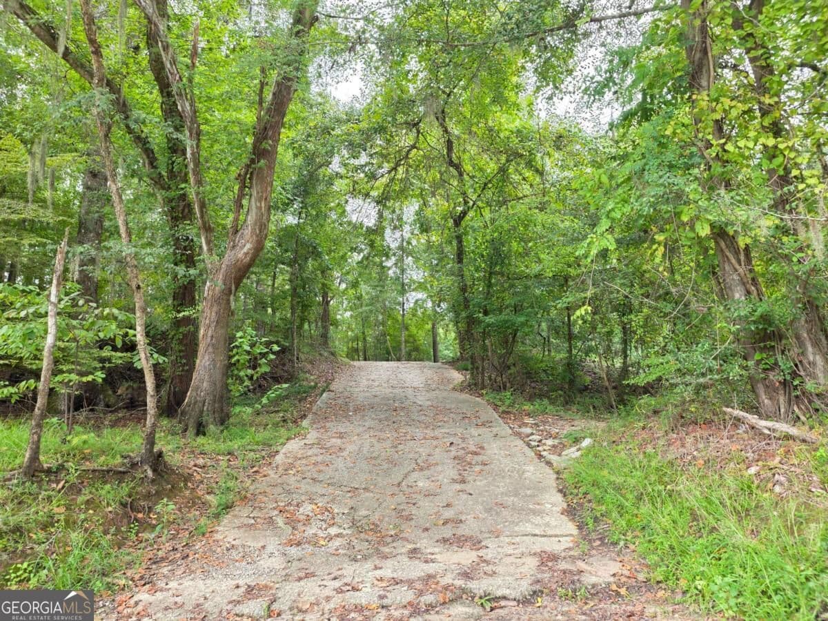 residential lot for sale at LOT 5 Seines Landing Drive, Springfield, GA 31329 — photo 8