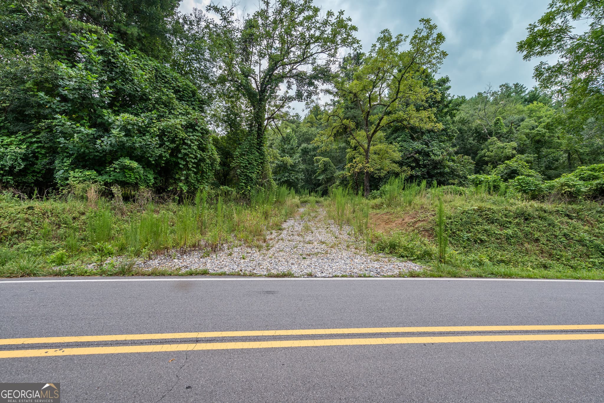 residential lot for sale at 32 Raven Ridge, Mineral Bluff, GA 30559 — photo 2