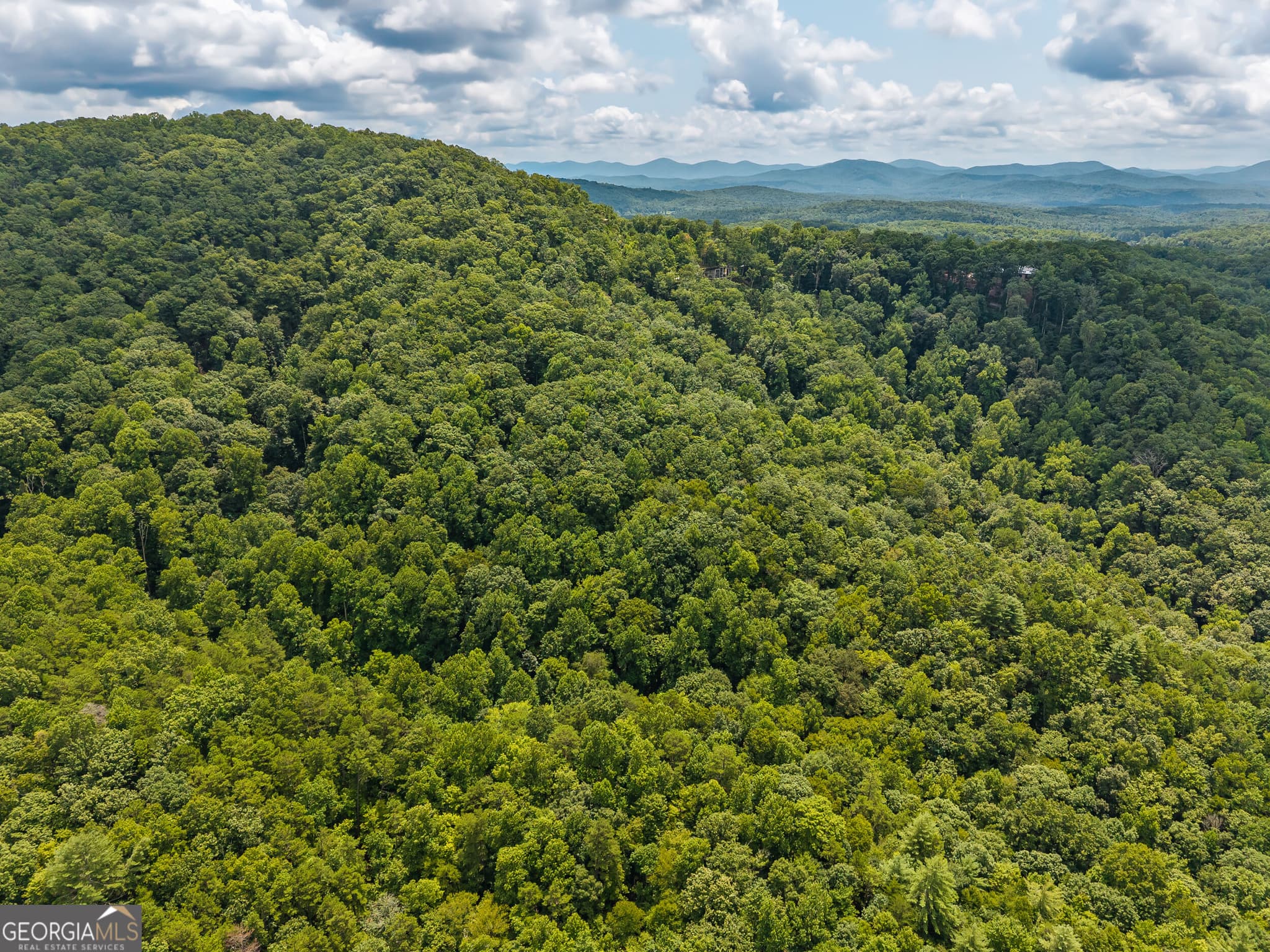 residential lot for sale at 32 Raven Ridge, Mineral Bluff, GA 30559 — photo 10