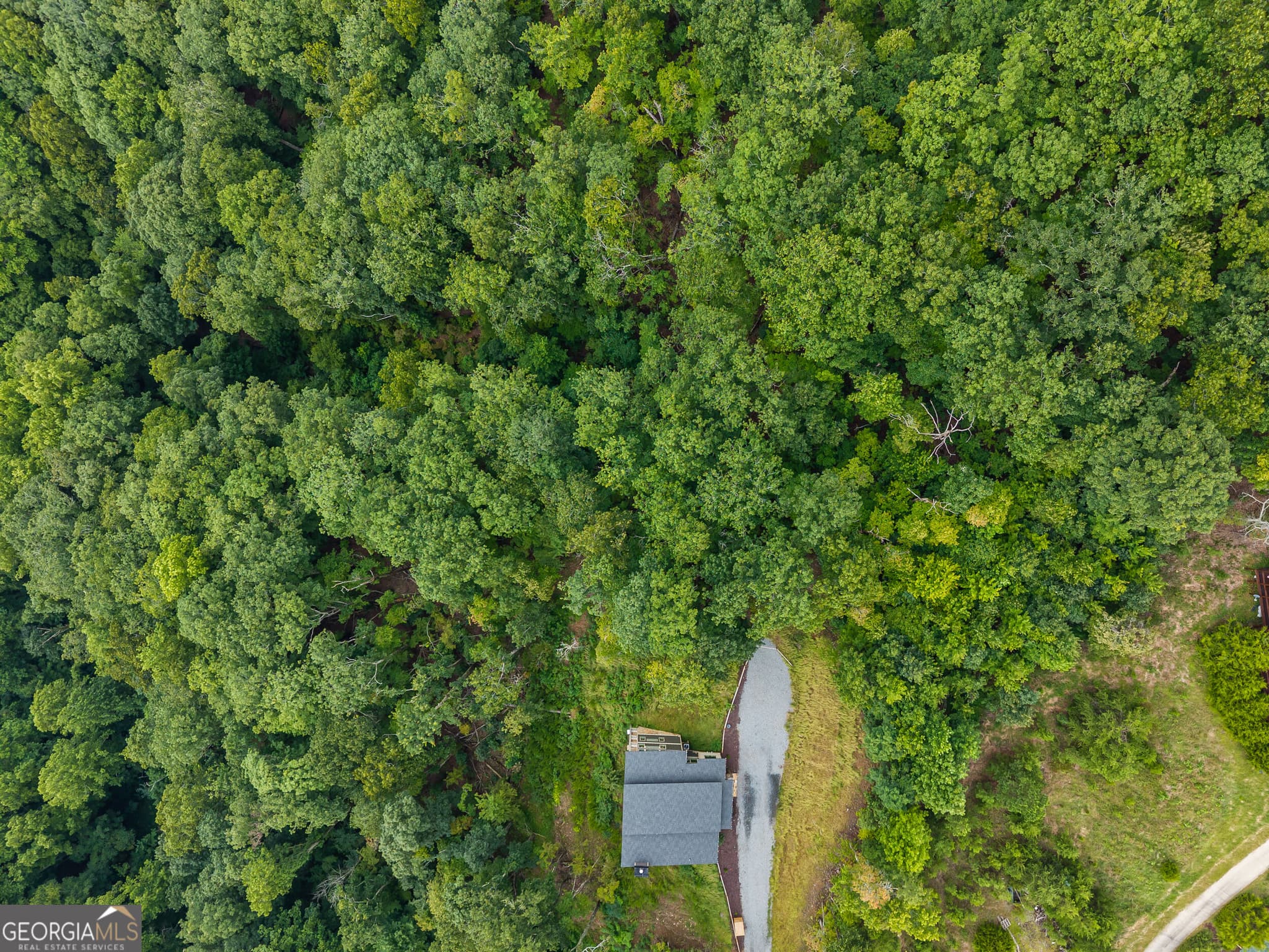 residential lot for sale at 32 Raven Ridge, Mineral Bluff, GA 30559 — photo 4