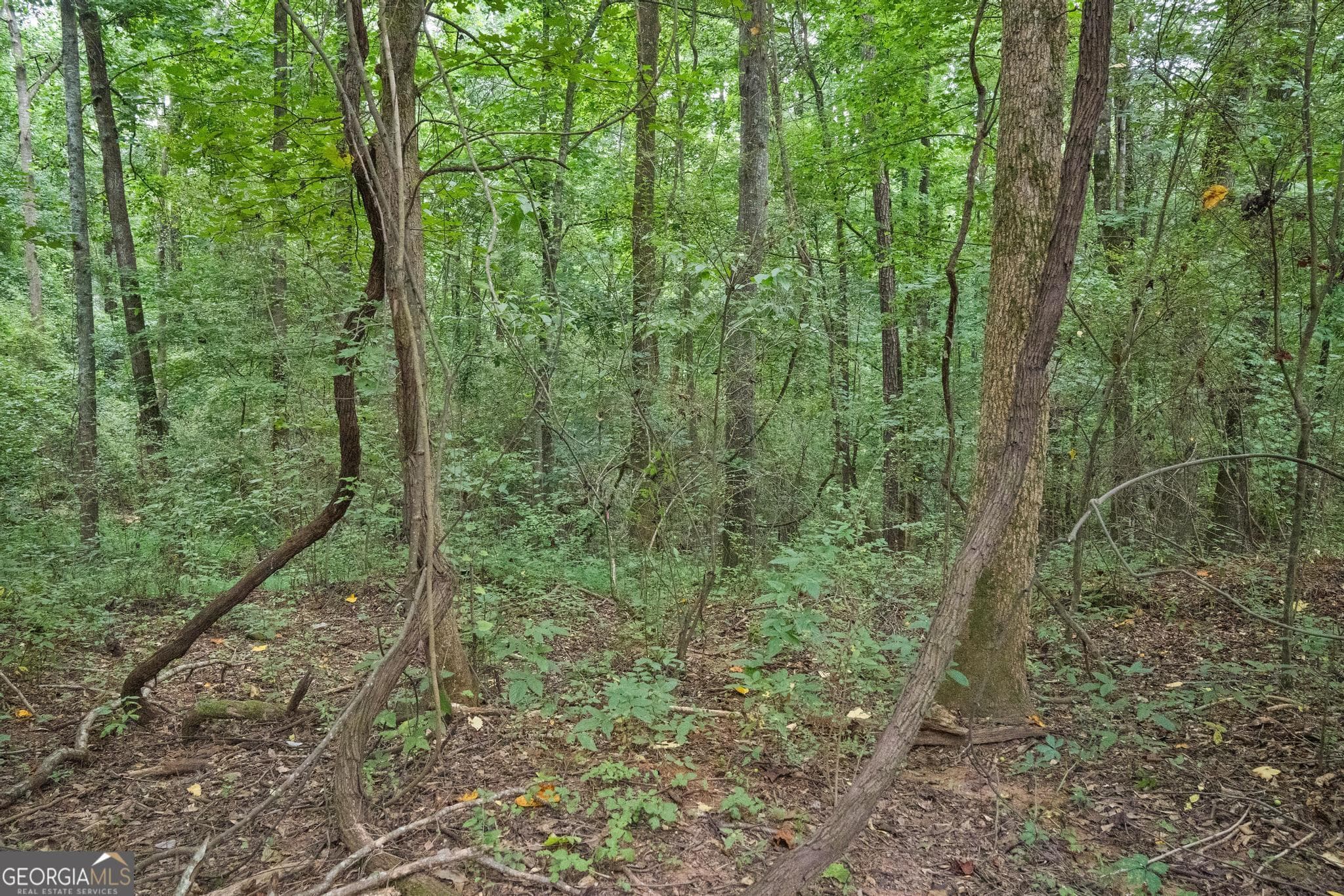 residential lot for sale at 82 Askin Place, Culloden, GA 31016 — photo 1 of 1