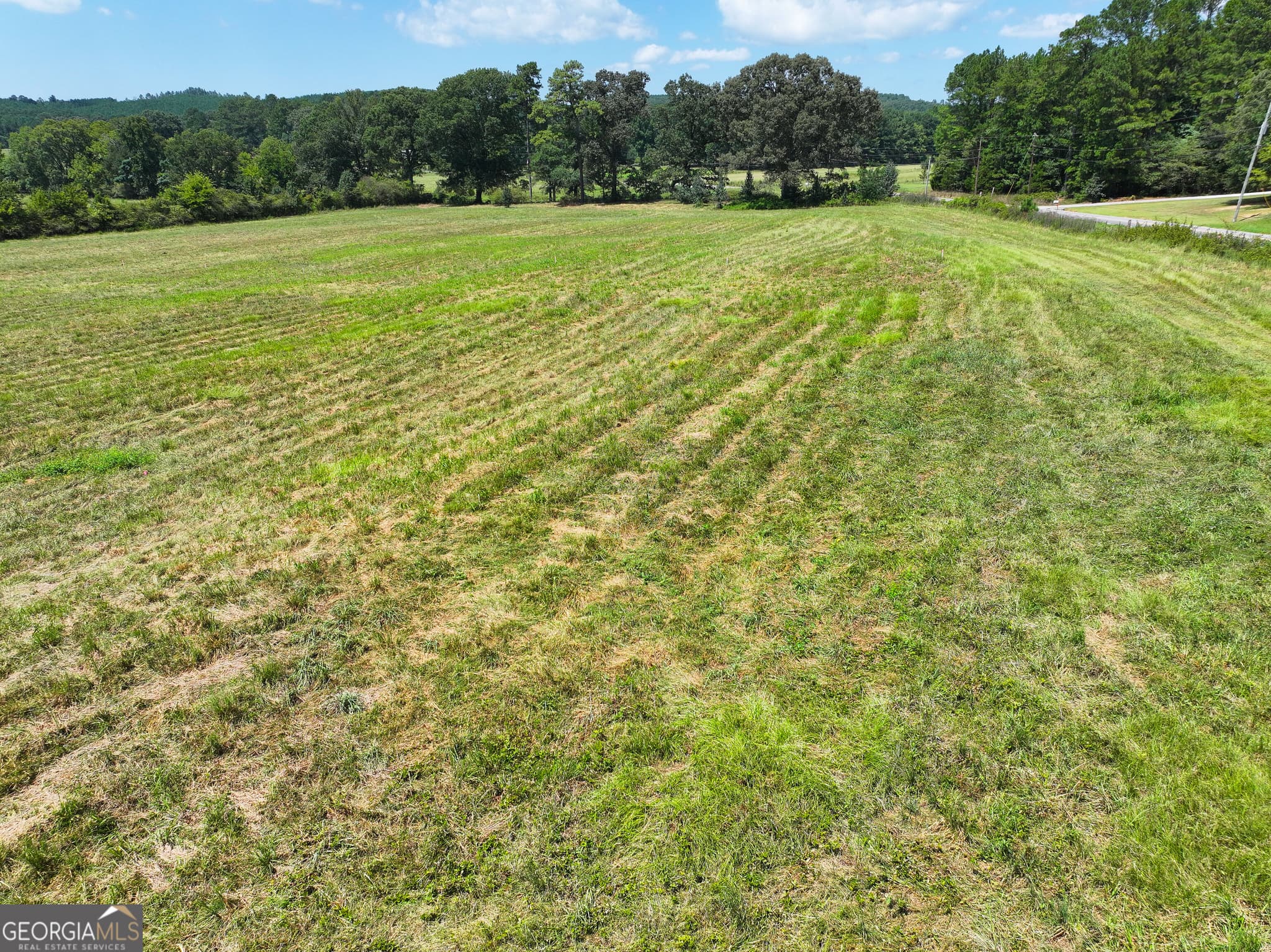 residential lot for sale at 0 Buttermilk Road TRACT 3, Cave Spring, GA 30124 — photo 5