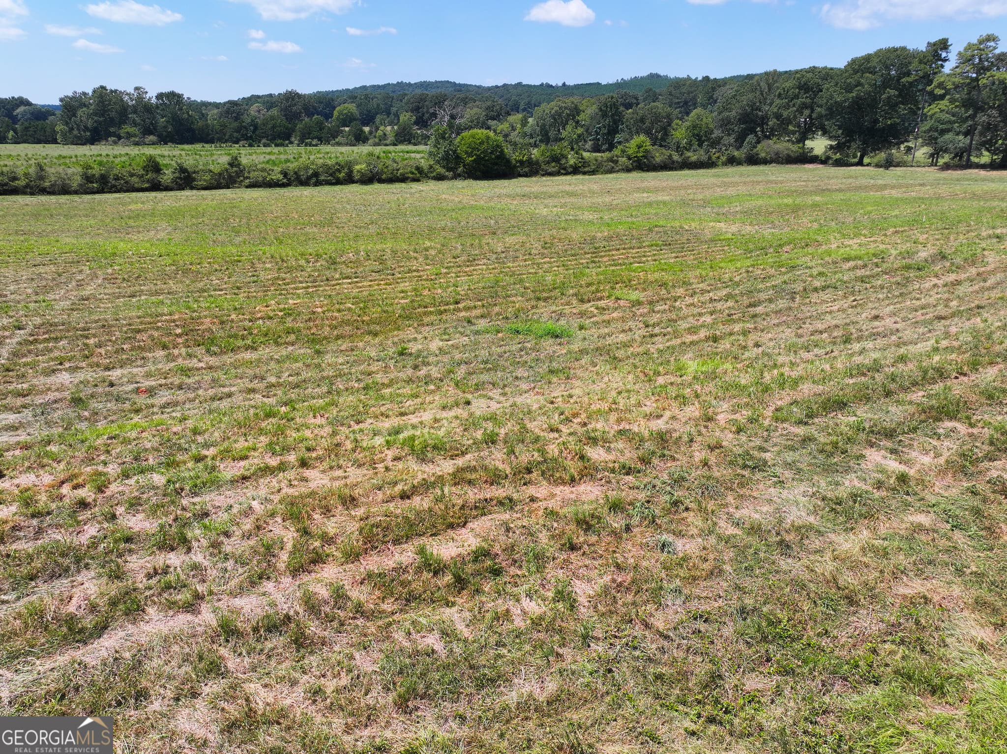 residential lot for sale at 0 Buttermilk Road TRACT 3, Cave Spring, GA 30124 — photo 10