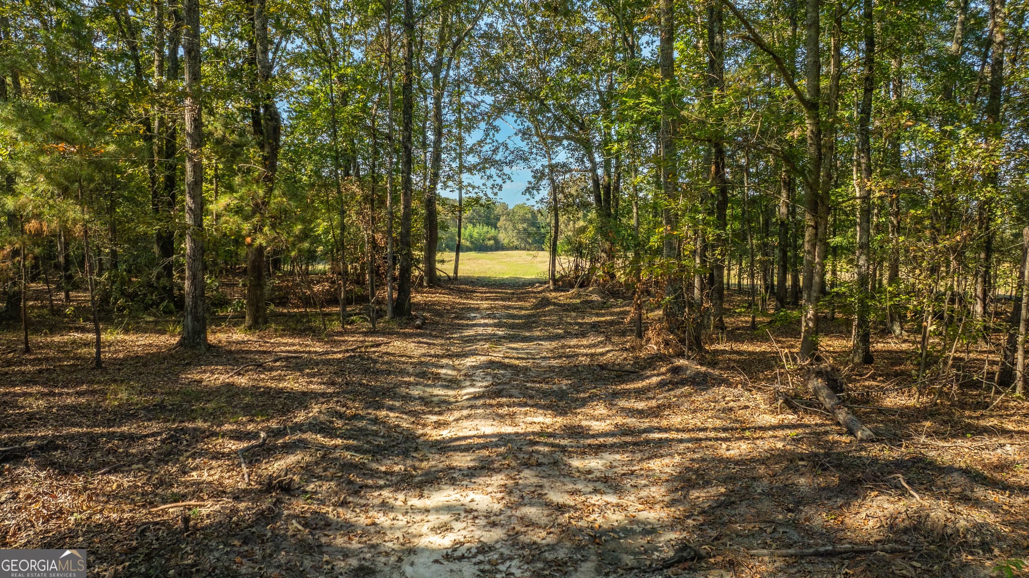 agriculture for sale at 0 Livingston Road, Rome, GA 30161 — photo 2
