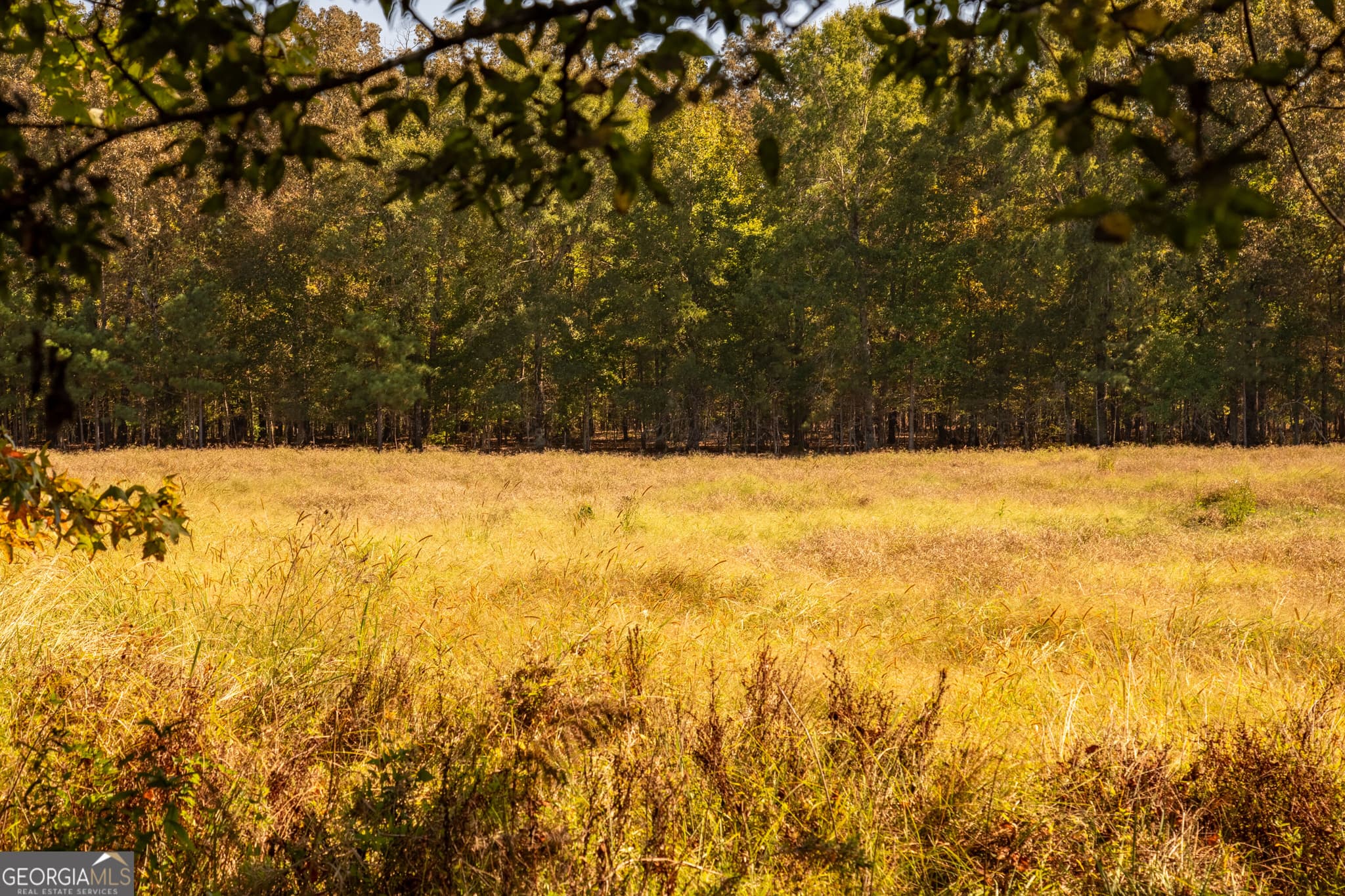 agriculture for sale at 0 Livingston Road, Rome, GA 30161 — photo 1 of 4