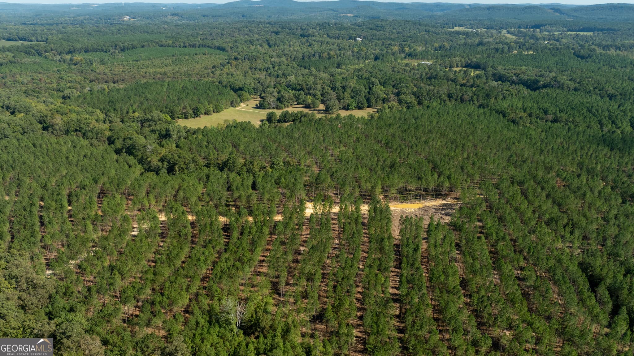 agriculture for sale at 0 Livingston Road, Rome, GA 30161 — photo 4