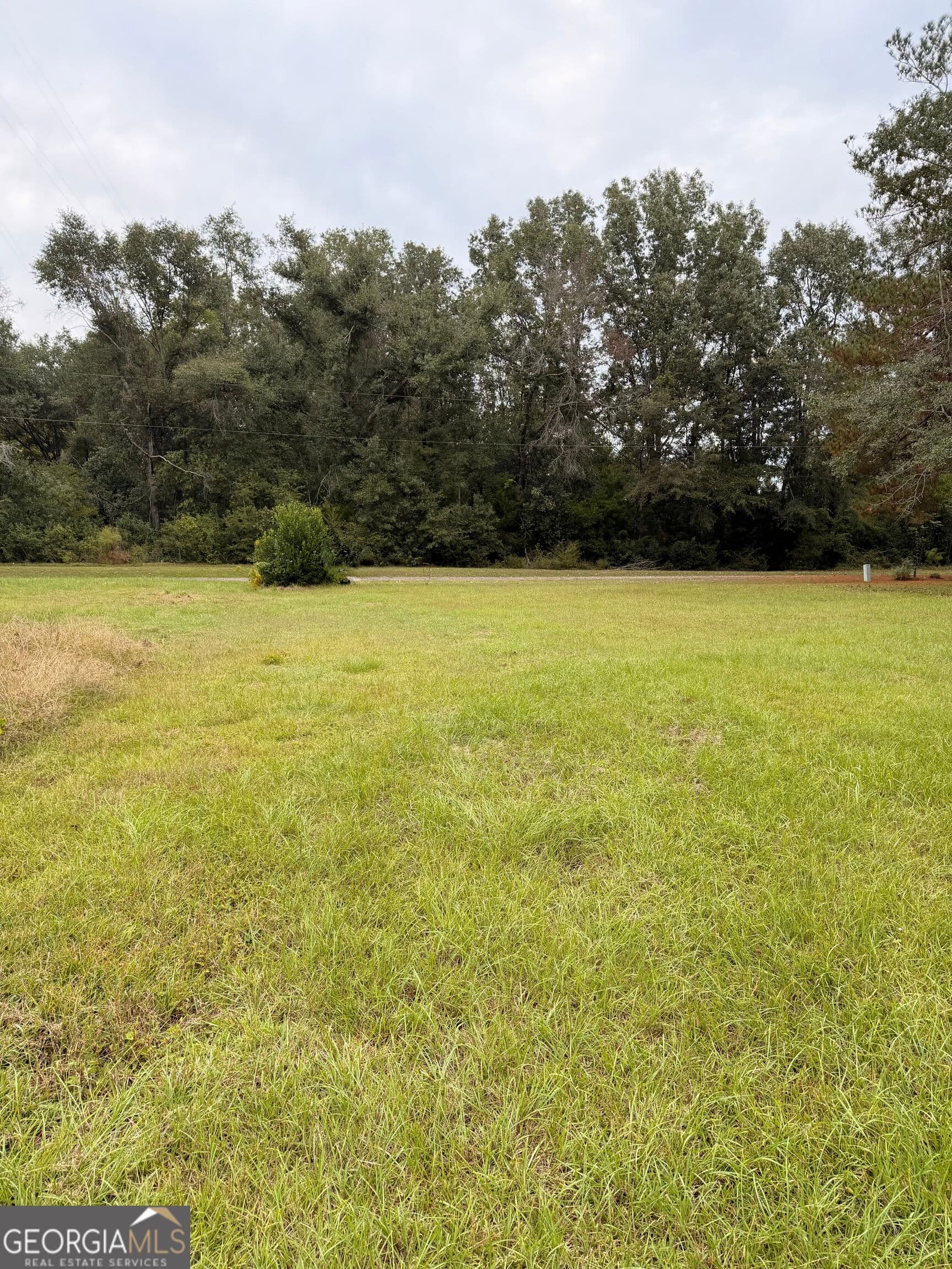 residential lot for sale at 0 Mary Street, Midville, GA 30441 — photo 2