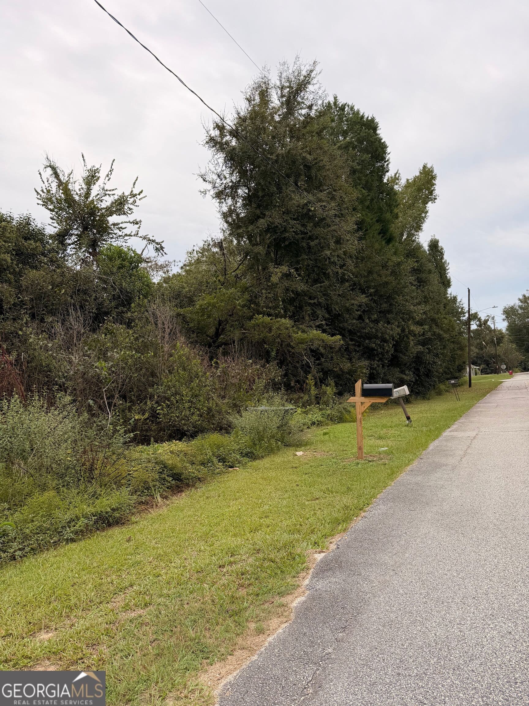 residential lot for sale at 0 Mary Street, Midville, GA 30441 — photo 3