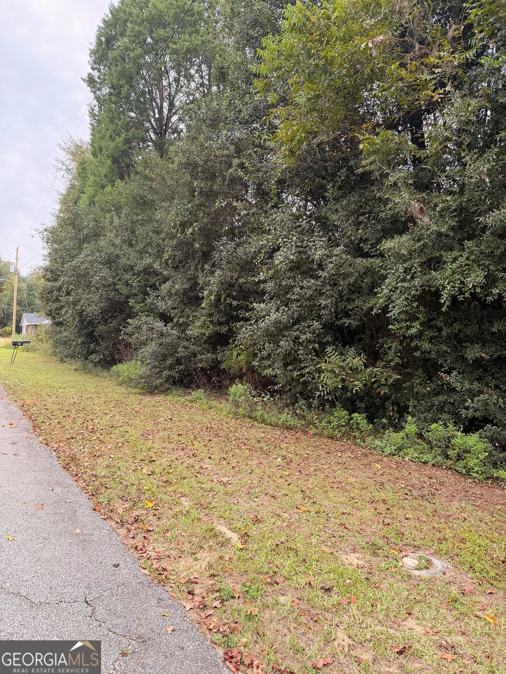residential lot for sale at 0 Mary Street, Midville, GA 30441 — photo 4
