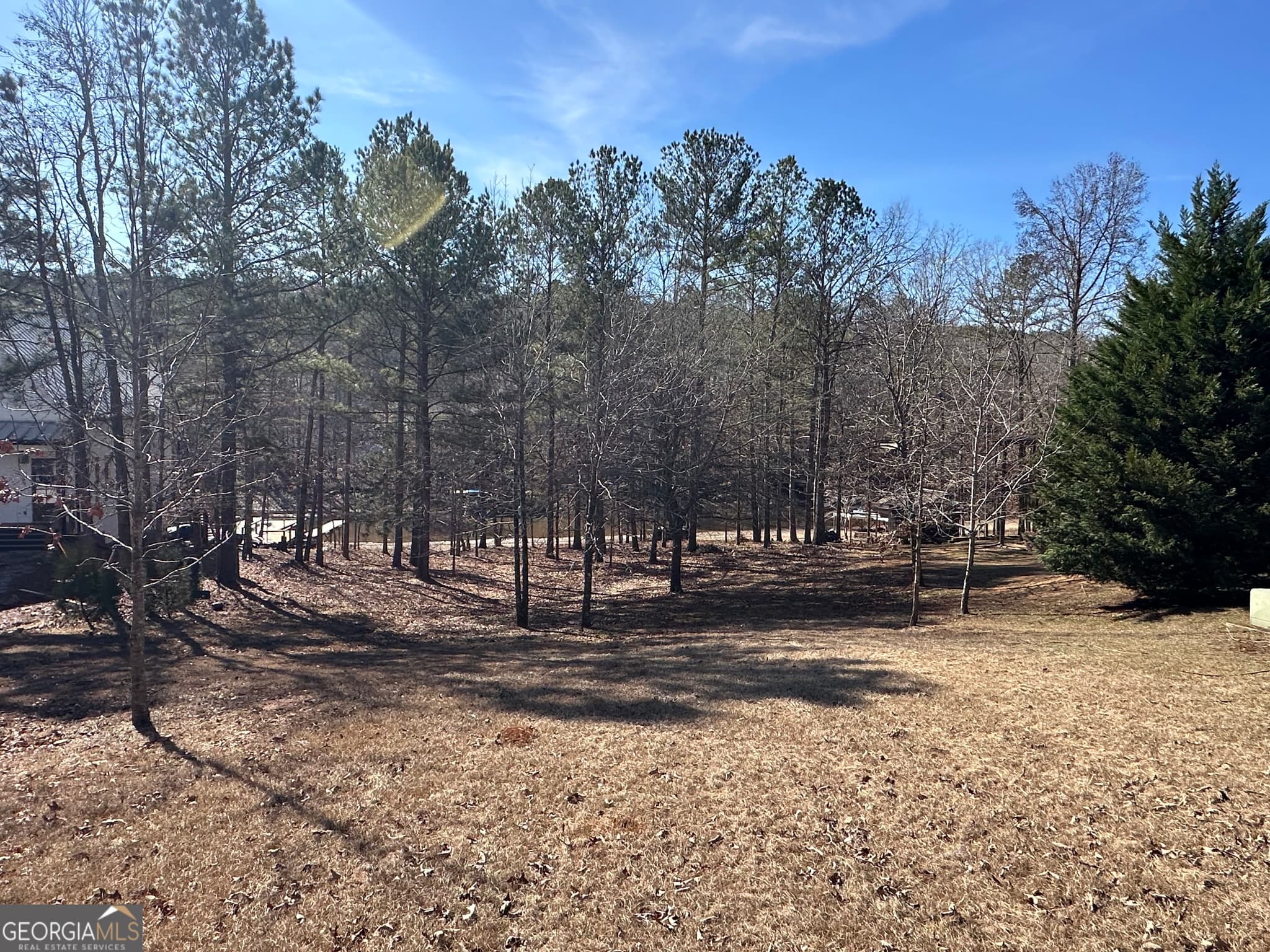 residential lot for sale at 199 Lakewood Drive, Wedowee, AL 36278 — photo 6