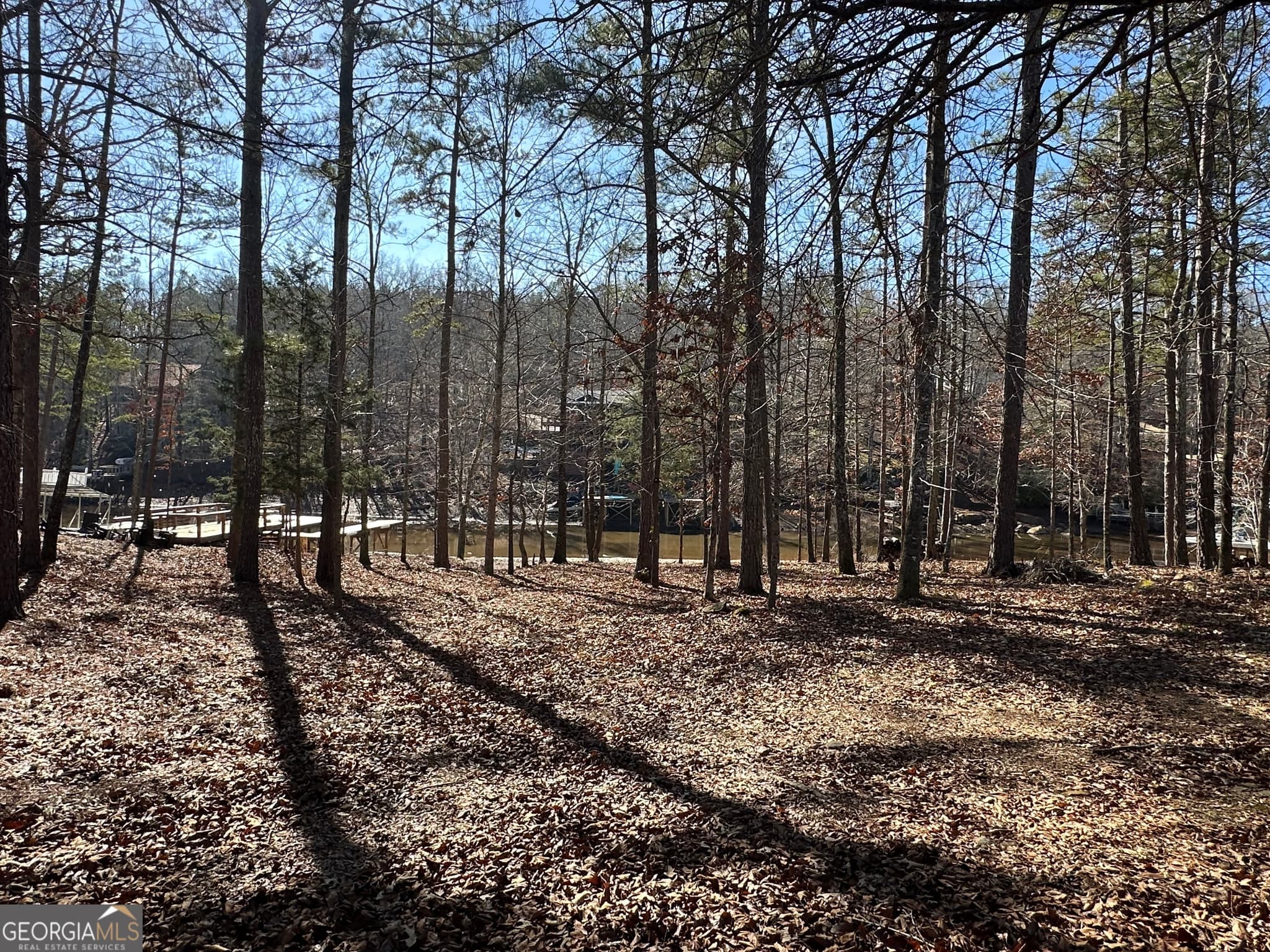 residential lot for sale at 199 Lakewood Drive, Wedowee, AL 36278 — photo 7