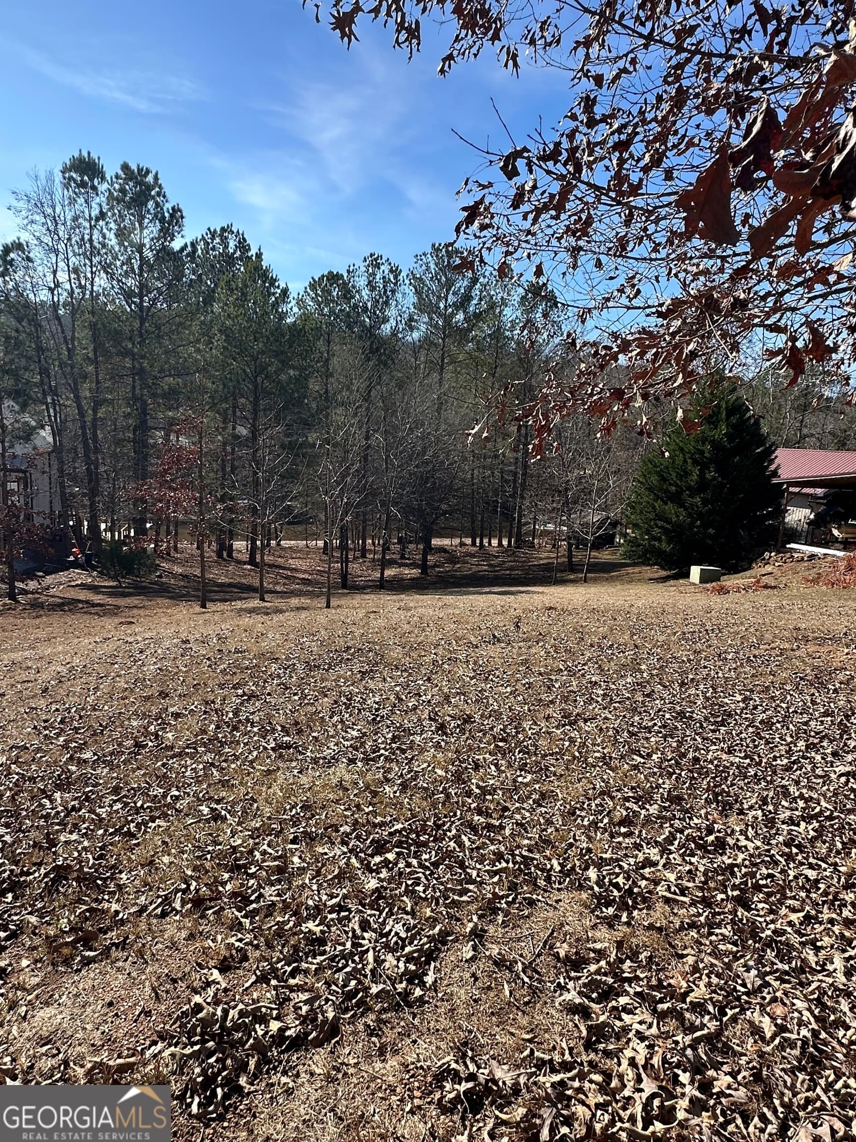 residential lot for sale at 199 Lakewood Drive, Wedowee, AL 36278 — photo 5