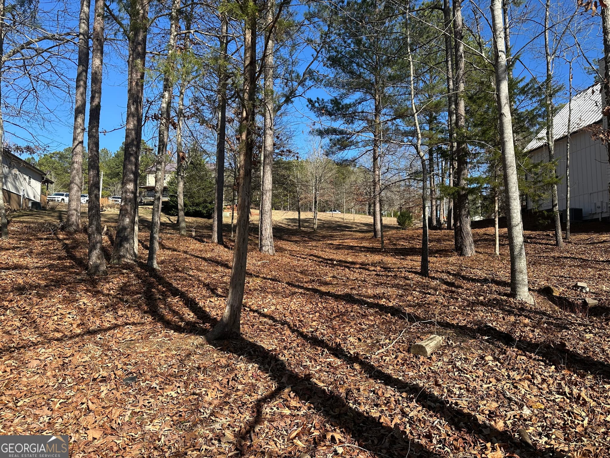 residential lot for sale at 199 Lakewood Drive, Wedowee, AL 36278 — photo 10