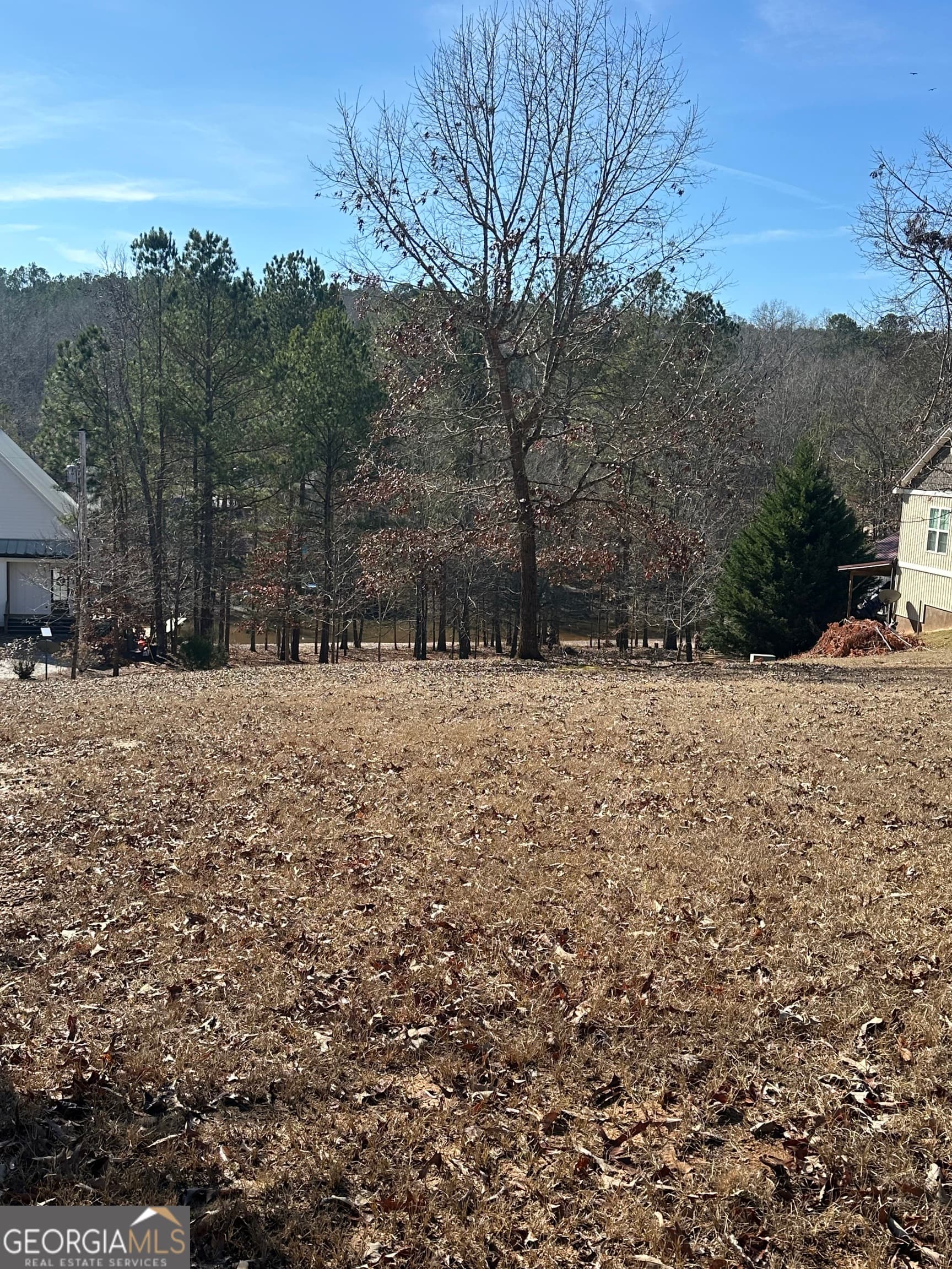 residential lot for sale at 199 Lakewood Drive, Wedowee, AL 36278 — photo 4