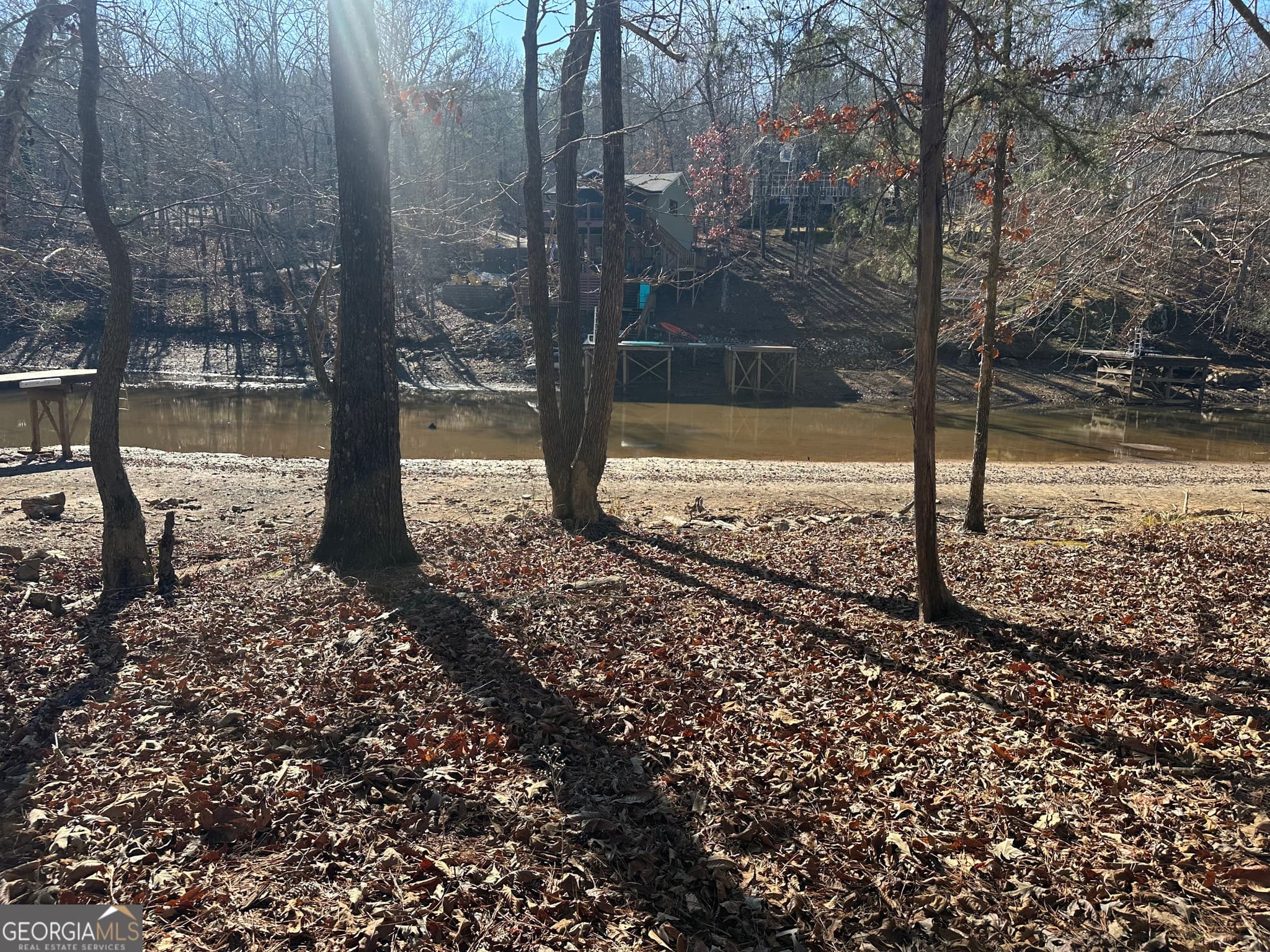 residential lot for sale at 199 Lakewood Drive, Wedowee, AL 36278 — photo 8