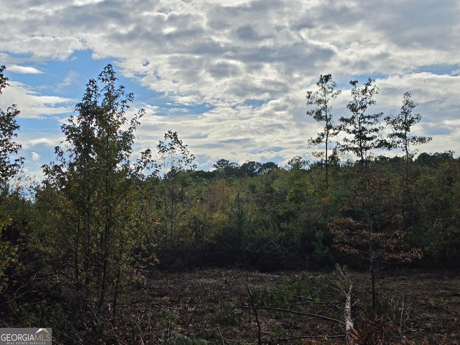 unimproved land for sale at 0 Tract 8 Victory Road, Franklin, GA 30217 — photo 2