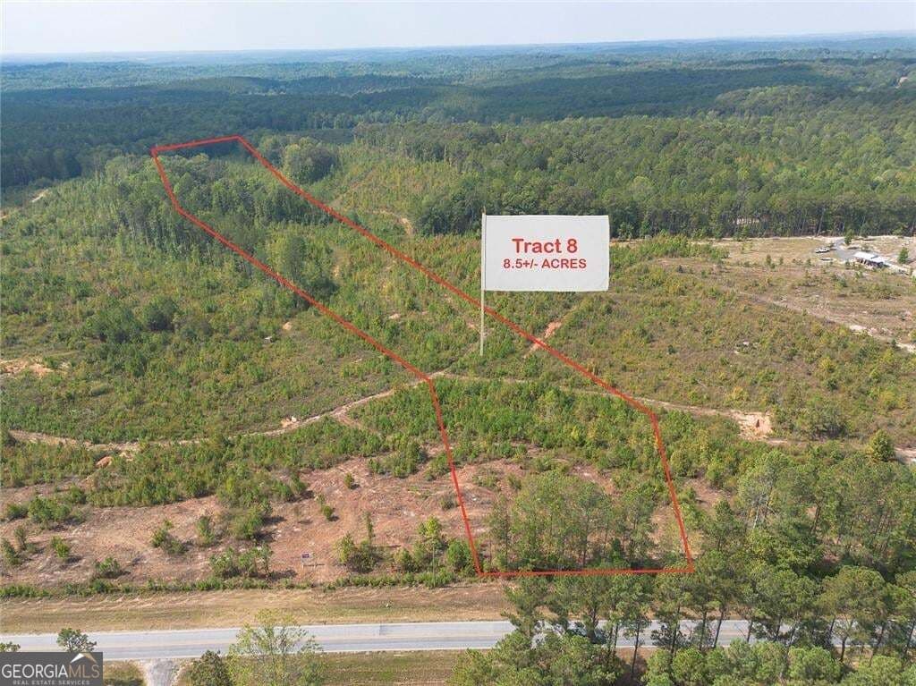 unimproved land for sale at 0 Tract 8 Victory Road, Franklin, GA 30217 — photo 7