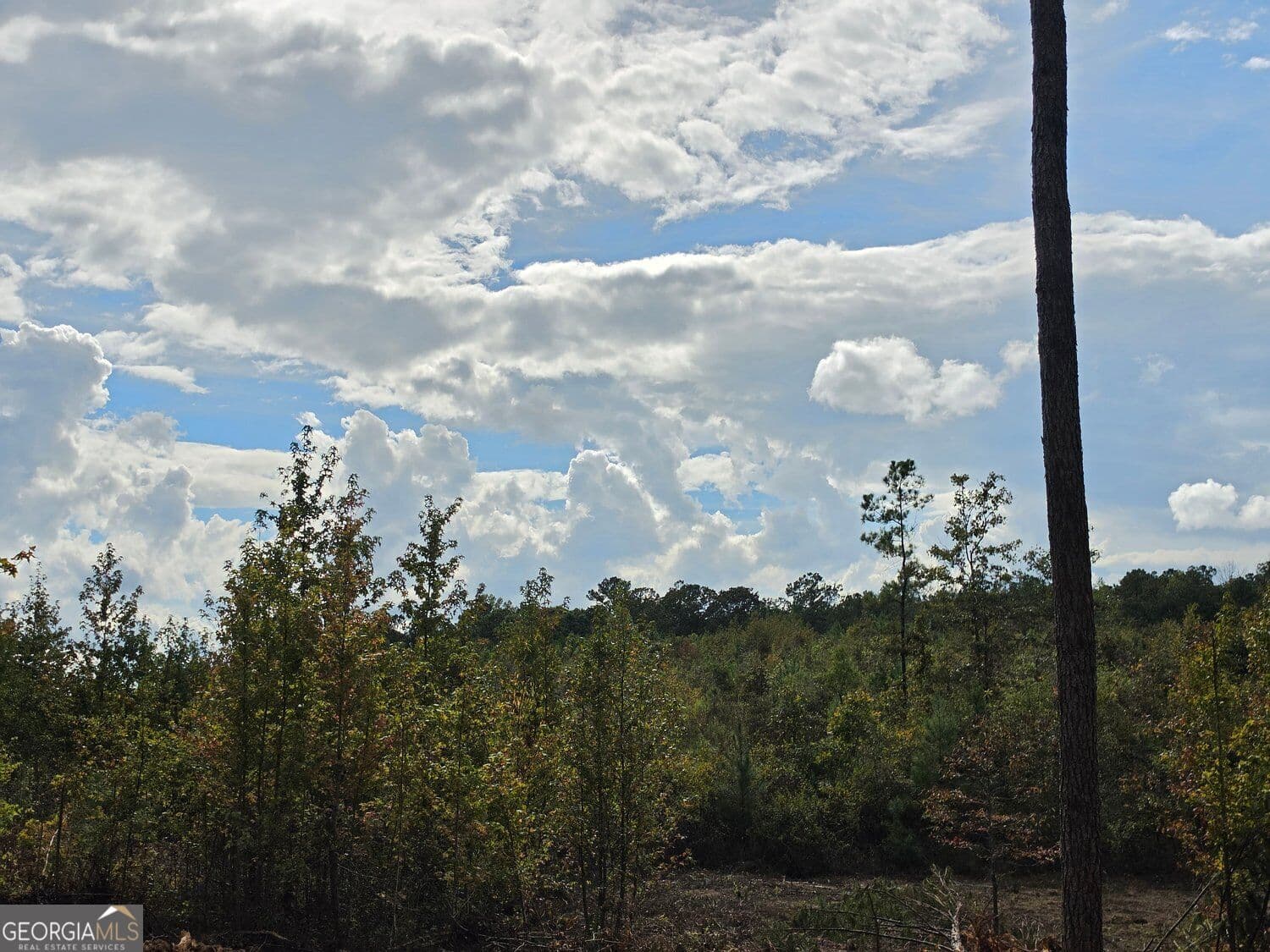 unimproved land for sale at 0 Tract 8 Victory Road, Franklin, GA 30217 — photo 1 of 21
