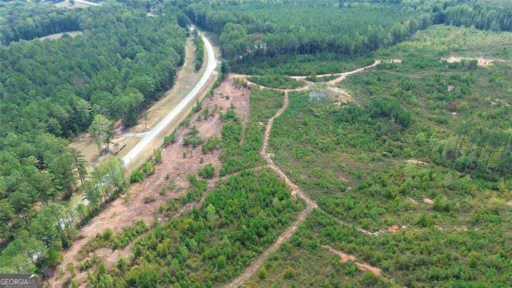 unimproved land for sale at 0 Tract 8 Victory Road, Franklin, GA 30217 — photo 9