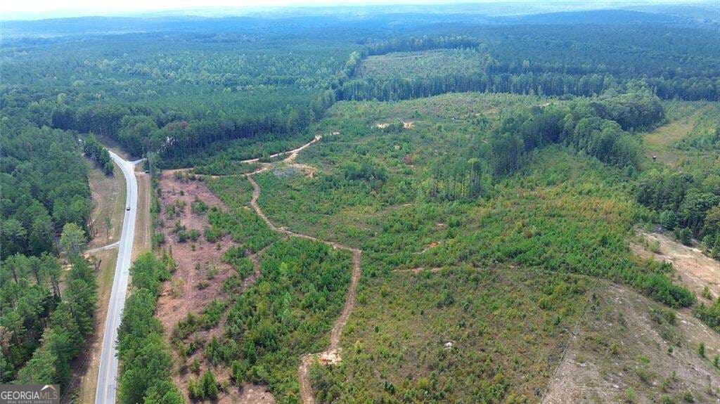 unimproved land for sale at 0 Tract 8 Victory Road, Franklin, GA 30217 — photo 10