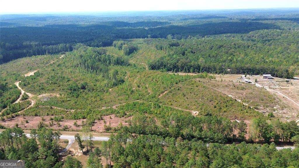 unimproved land for sale at 0 Tract 8 Victory Road, Franklin, GA 30217 — photo 8