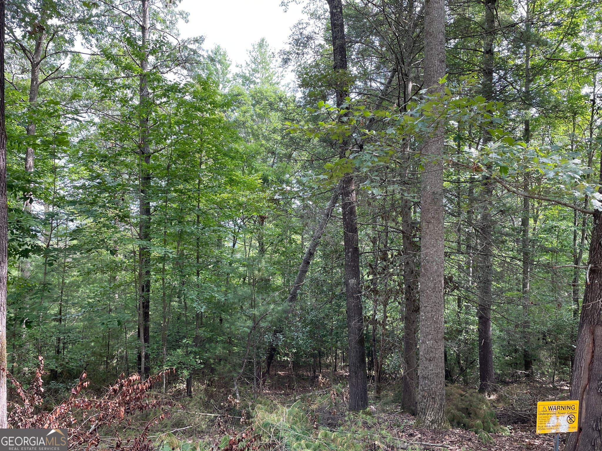 residential lot for sale at LOT13 Sour Apple Lane 13, Blairsville, GA 30512 — photo 6