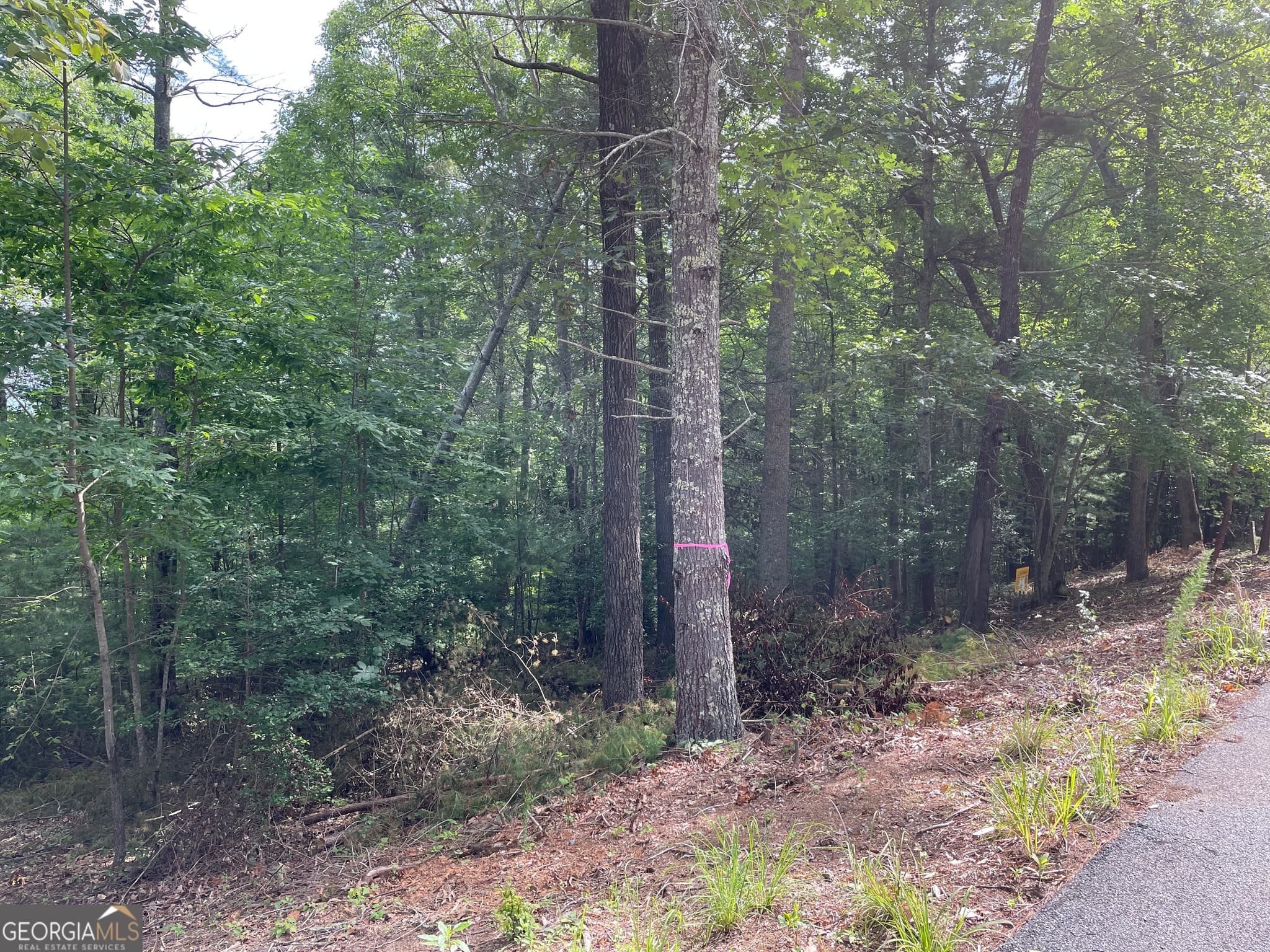residential lot for sale at LOT13 Sour Apple Lane 13, Blairsville, GA 30512 — photo 7