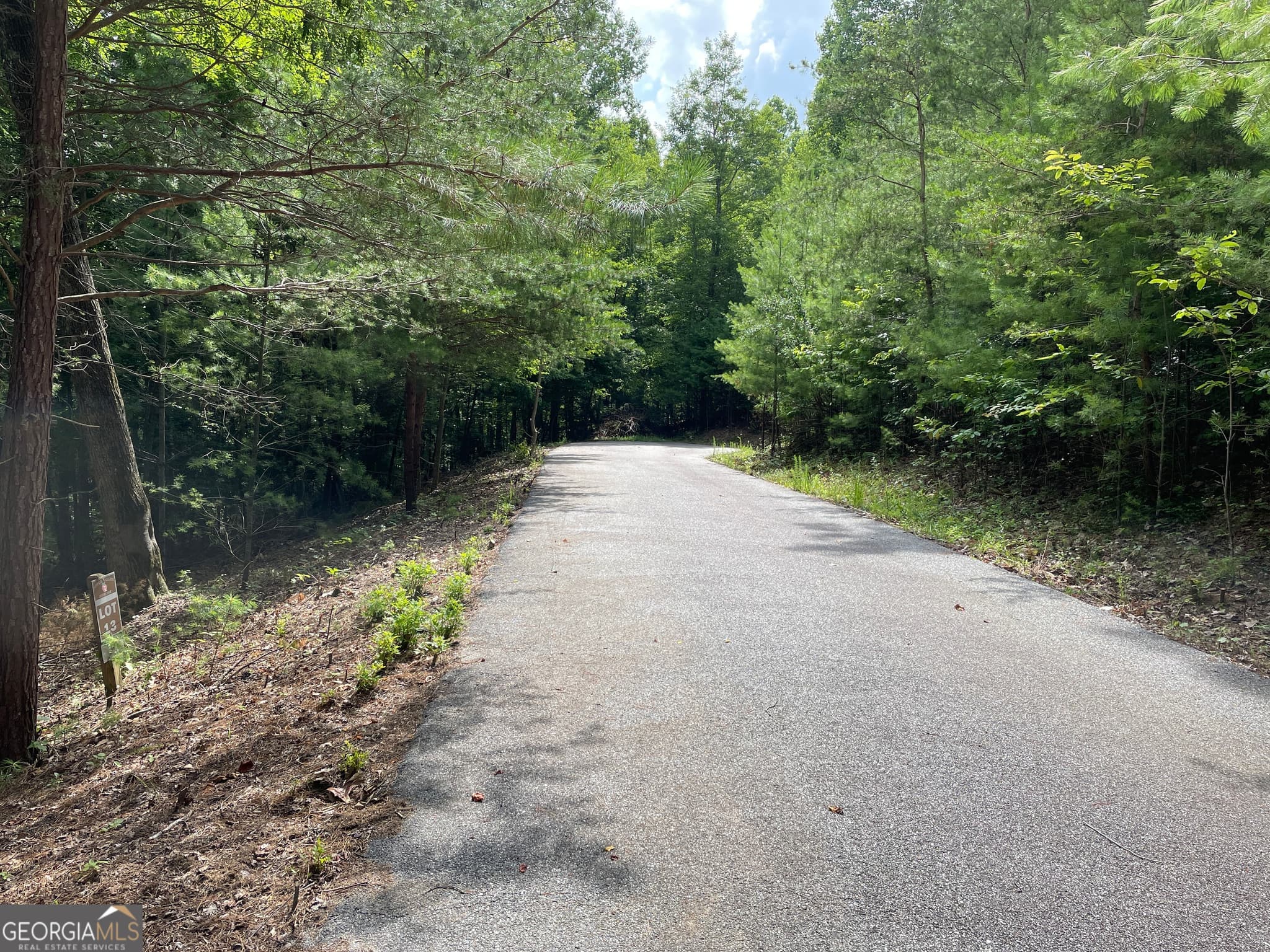residential lot for sale at LOT13 Sour Apple Lane 13, Blairsville, GA 30512 — photo 3