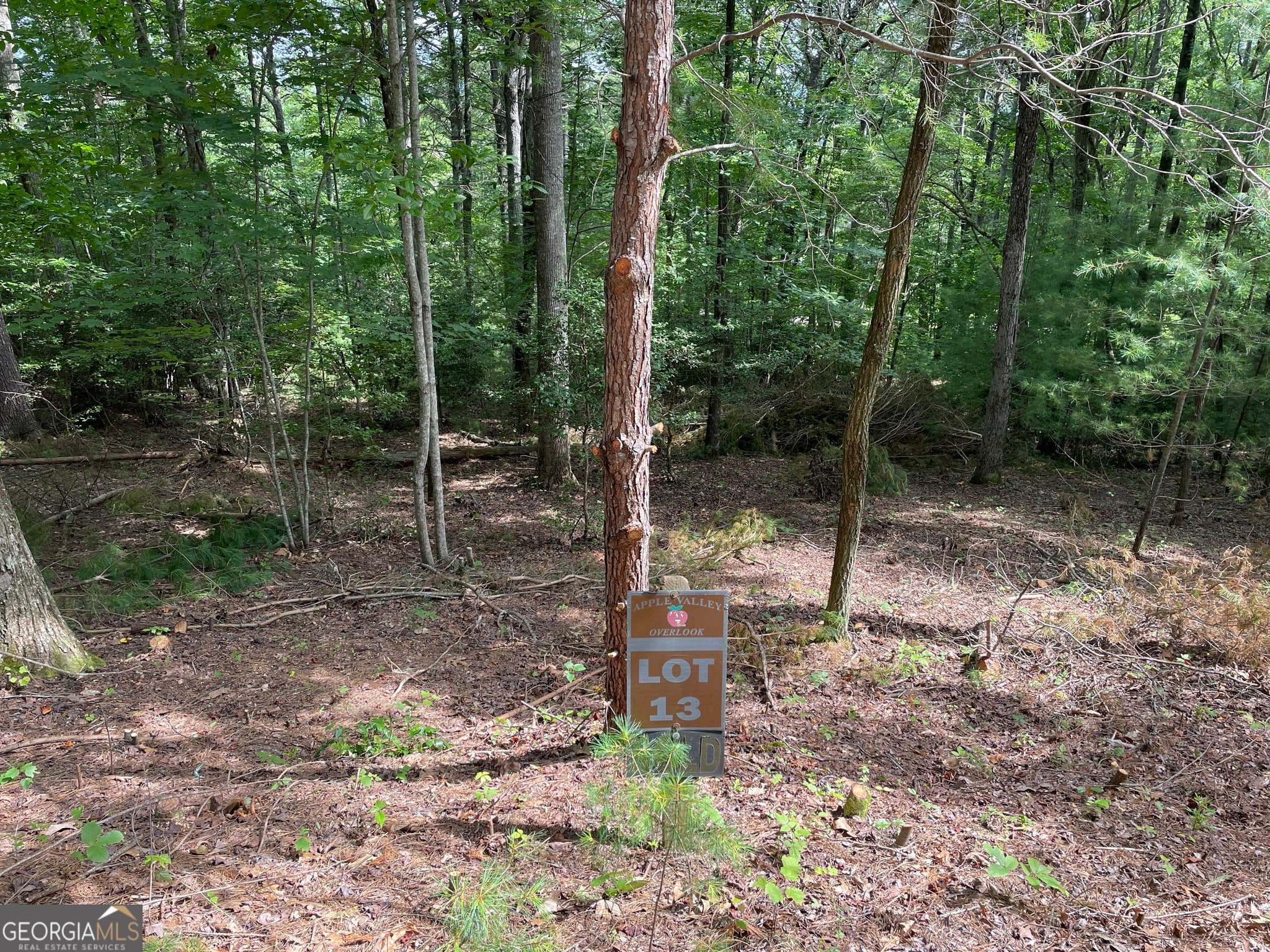 residential lot for sale at LOT13 Sour Apple Lane 13, Blairsville, GA 30512 — photo 1 of 8