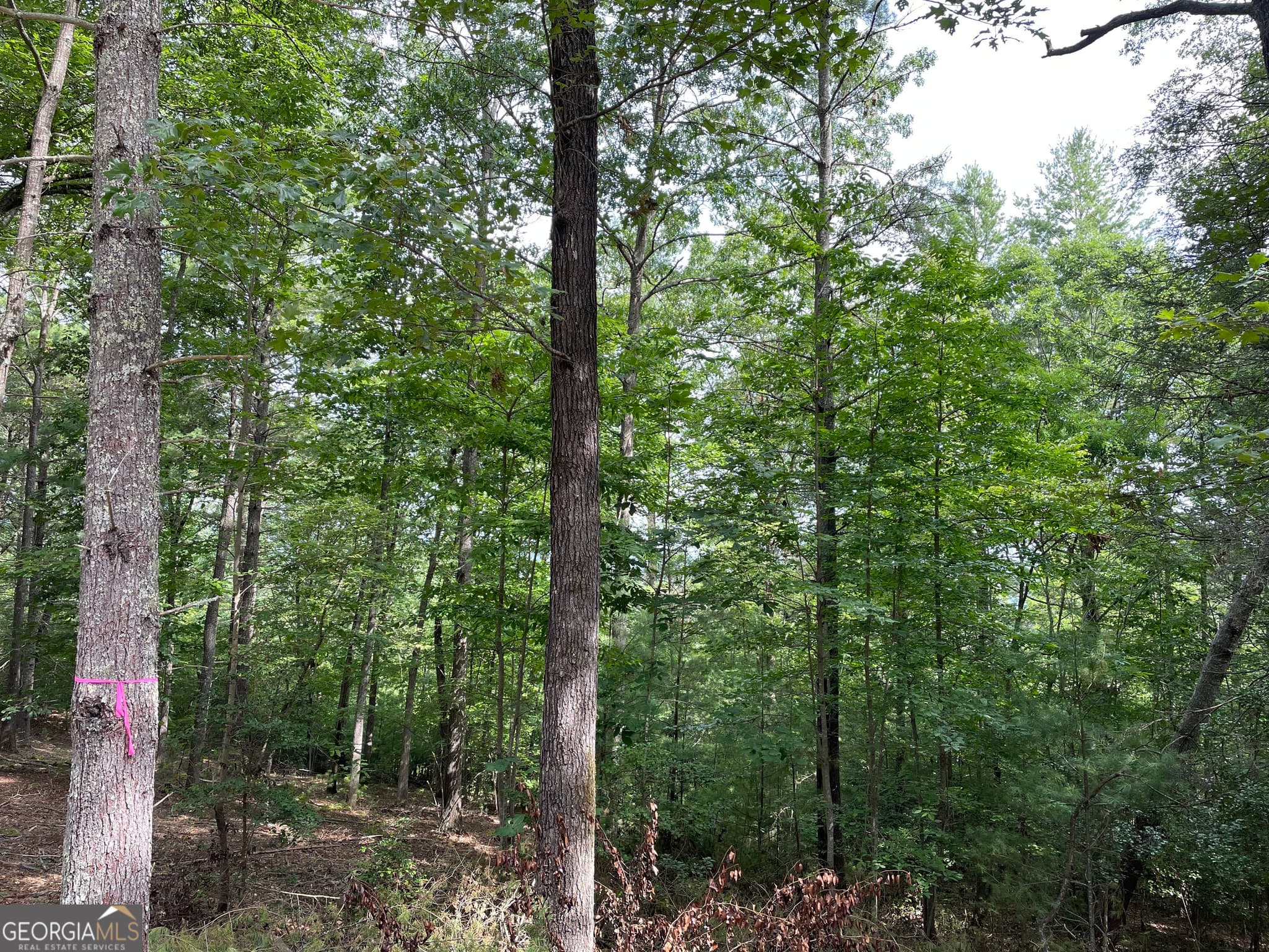 residential lot for sale at LOT13 Sour Apple Lane 13, Blairsville, GA 30512 — photo 5