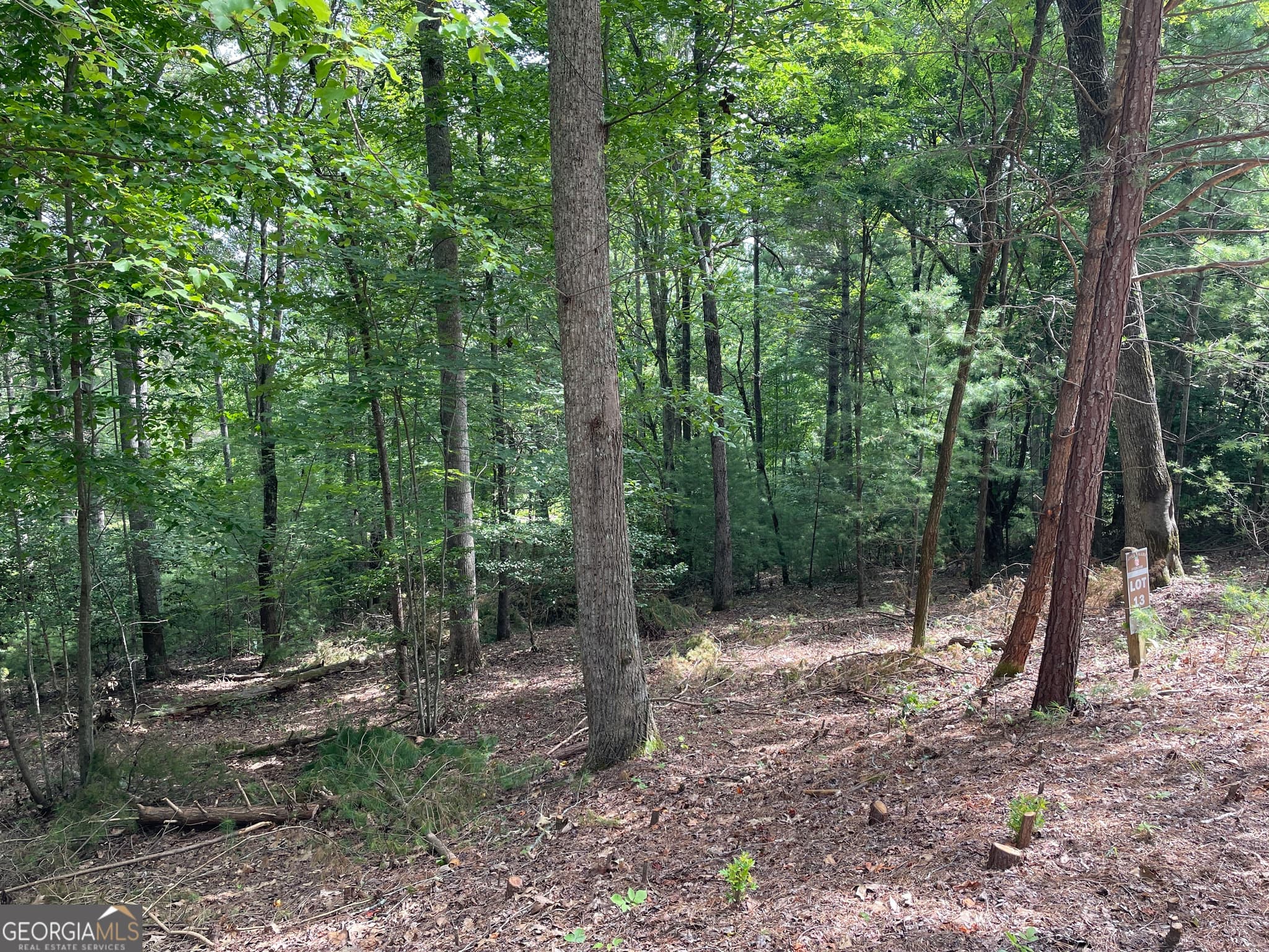 residential lot for sale at LOT13 Sour Apple Lane 13, Blairsville, GA 30512 — photo 4