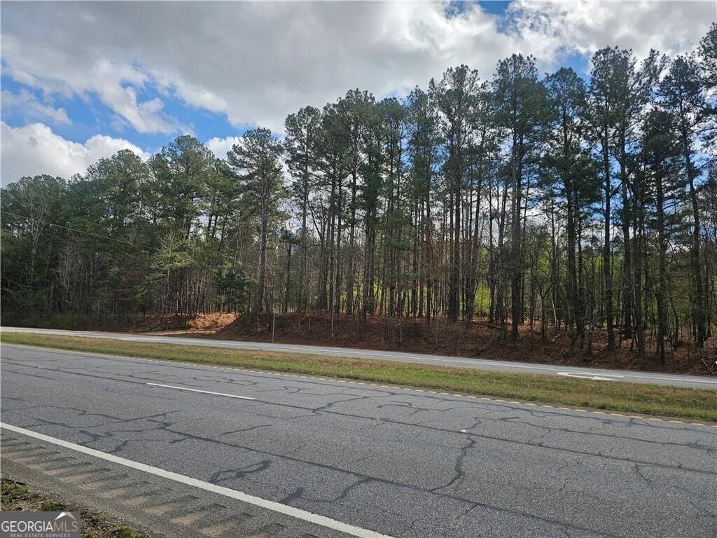unimproved land for sale at 0 Alabama Highway, Rome, GA 30165 — photo 6