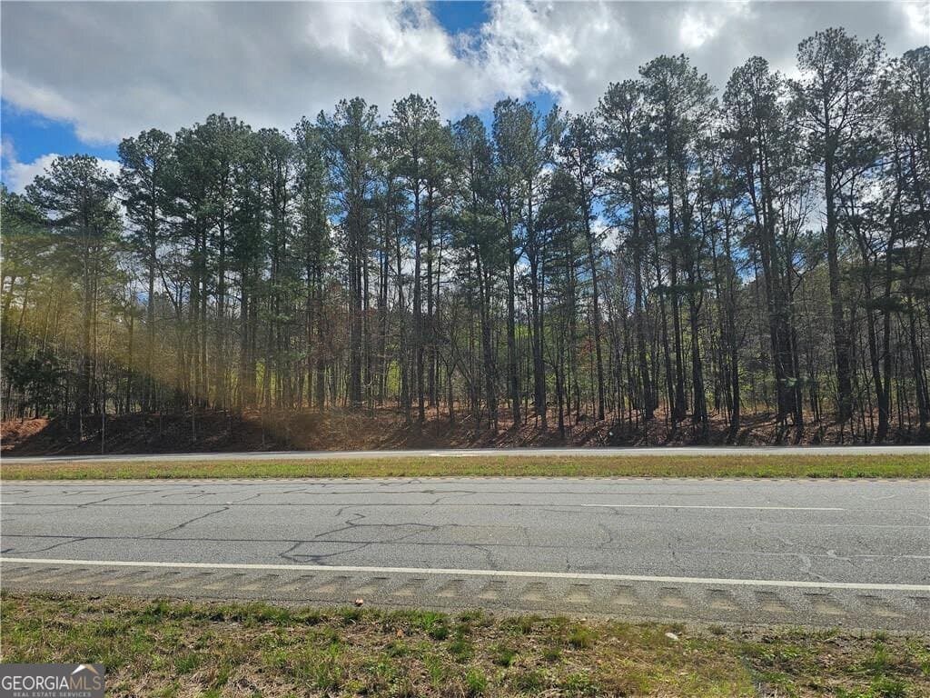 unimproved land for sale at 0 Alabama Highway, Rome, GA 30165 — photo 7