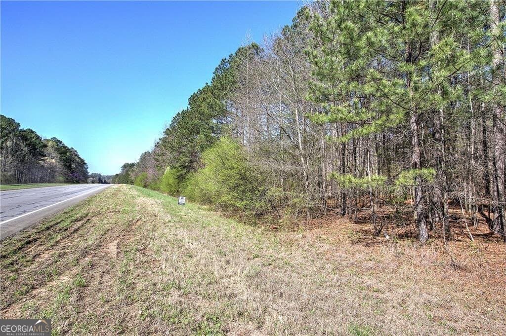 unimproved land for sale at 0 Alabama Highway, Rome, GA 30165 — photo 3