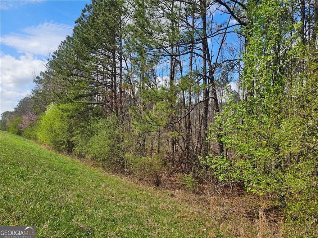 unimproved land for sale at 0 Alabama Highway, Rome, GA 30165 — photo 4