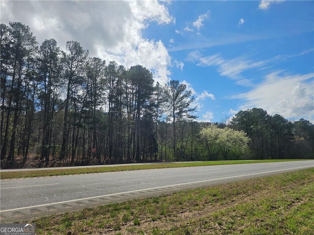 unimproved land for sale at 0 Alabama Highway, Rome, GA 30165 — photo 8