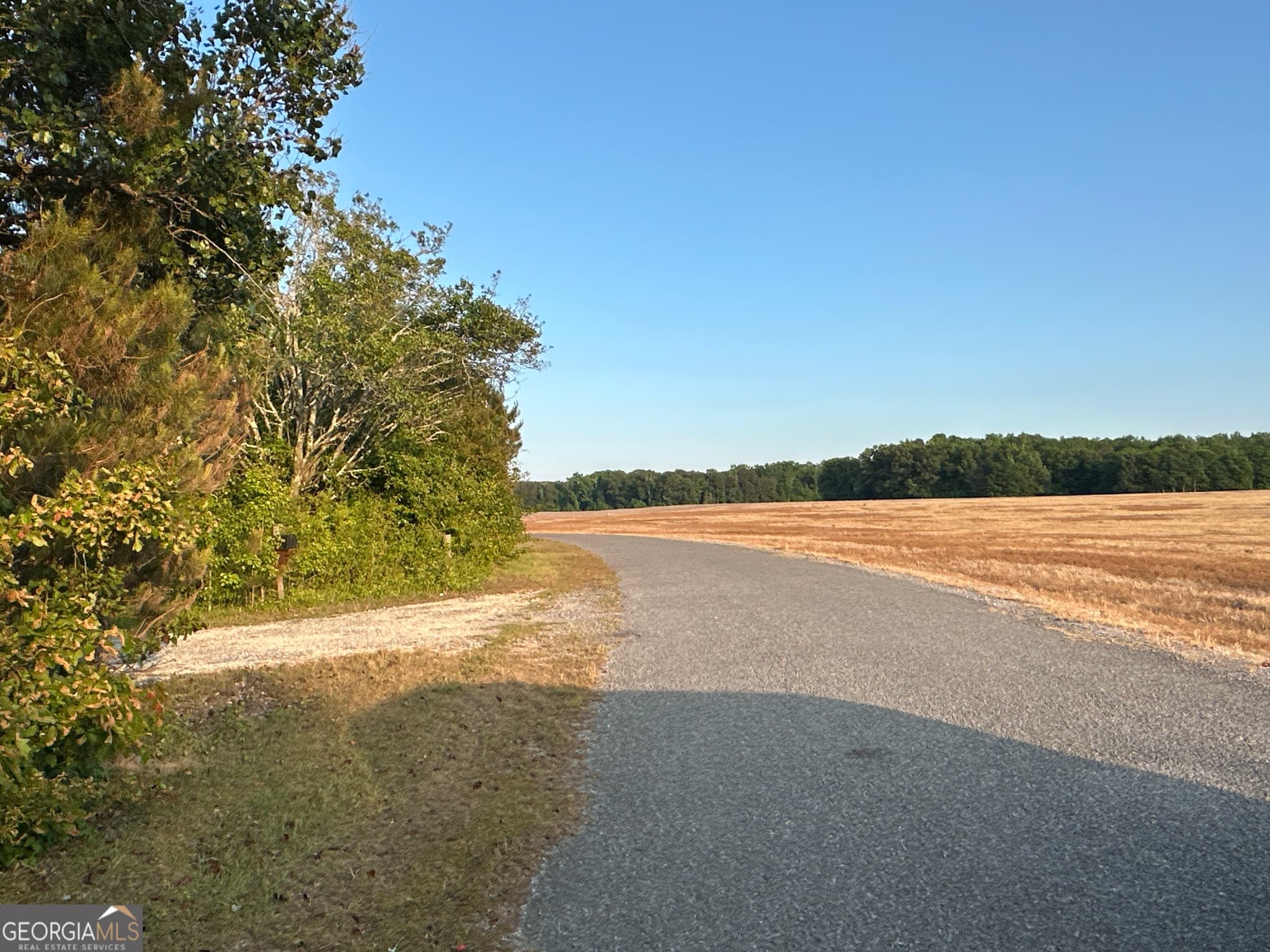 unimproved land for sale at LOT 7 County Road 520, Centre, AL 35960 — photo 2