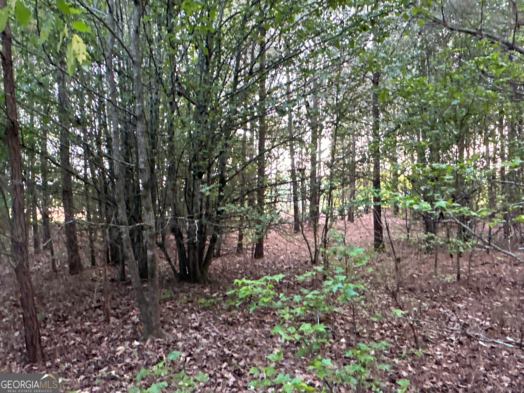 unimproved land for sale at LOT 7 County Road 520, Centre, AL 35960 — photo 6