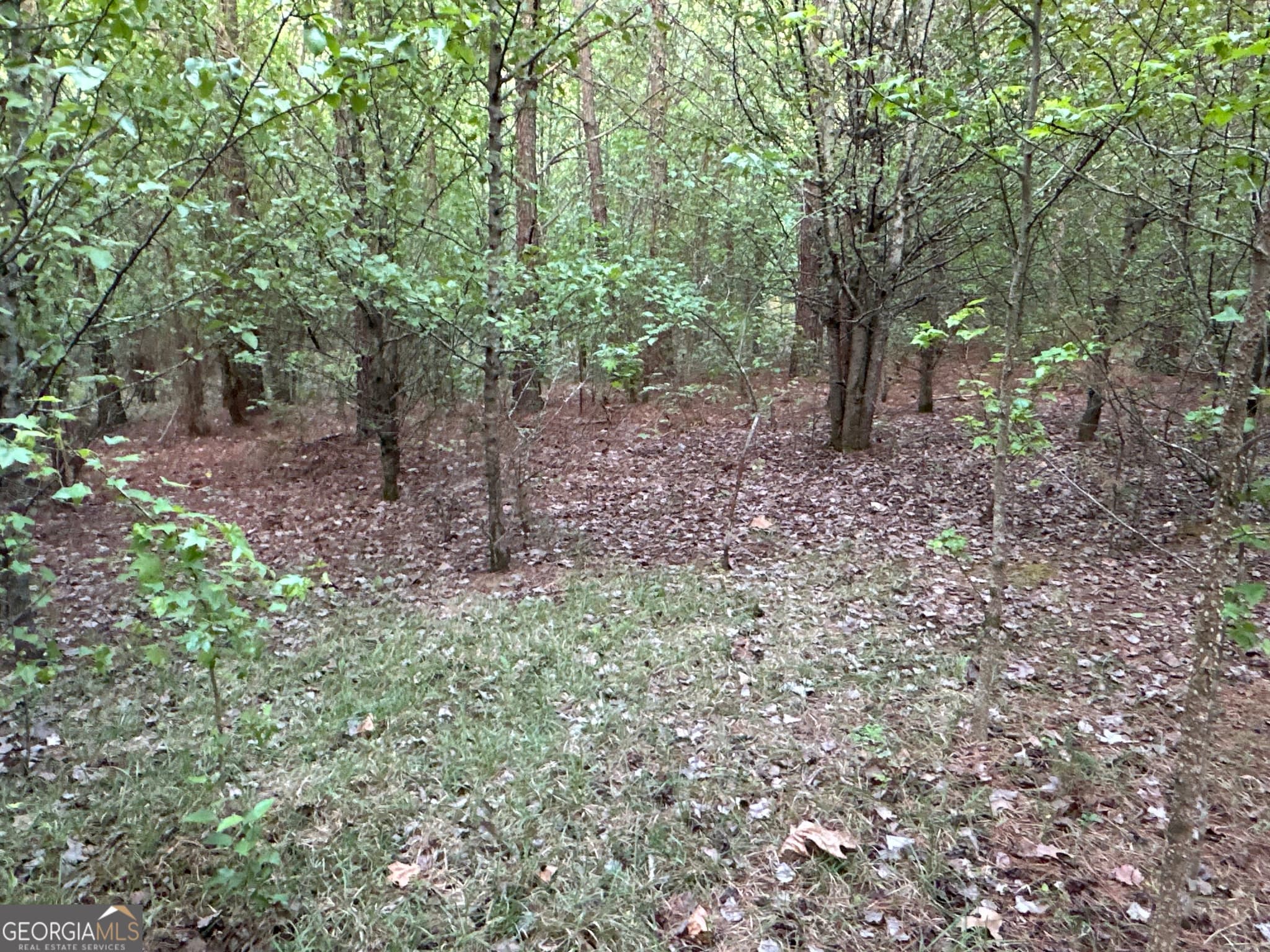 unimproved land for sale at LOT 7 County Road 520, Centre, AL 35960 — photo 7