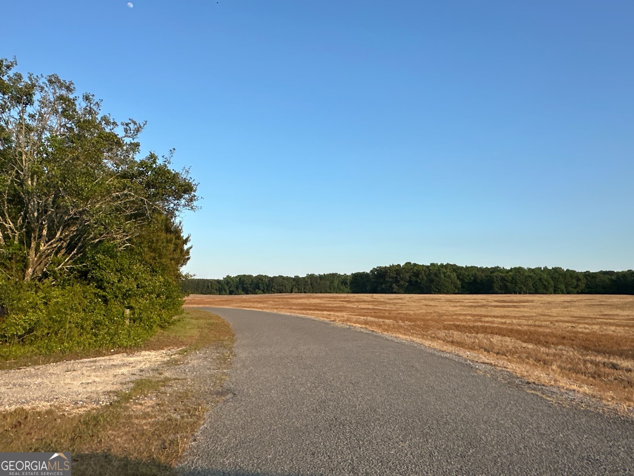 unimproved land for sale at LOT 7 County Road 520, Centre, AL 35960 — photo 3
