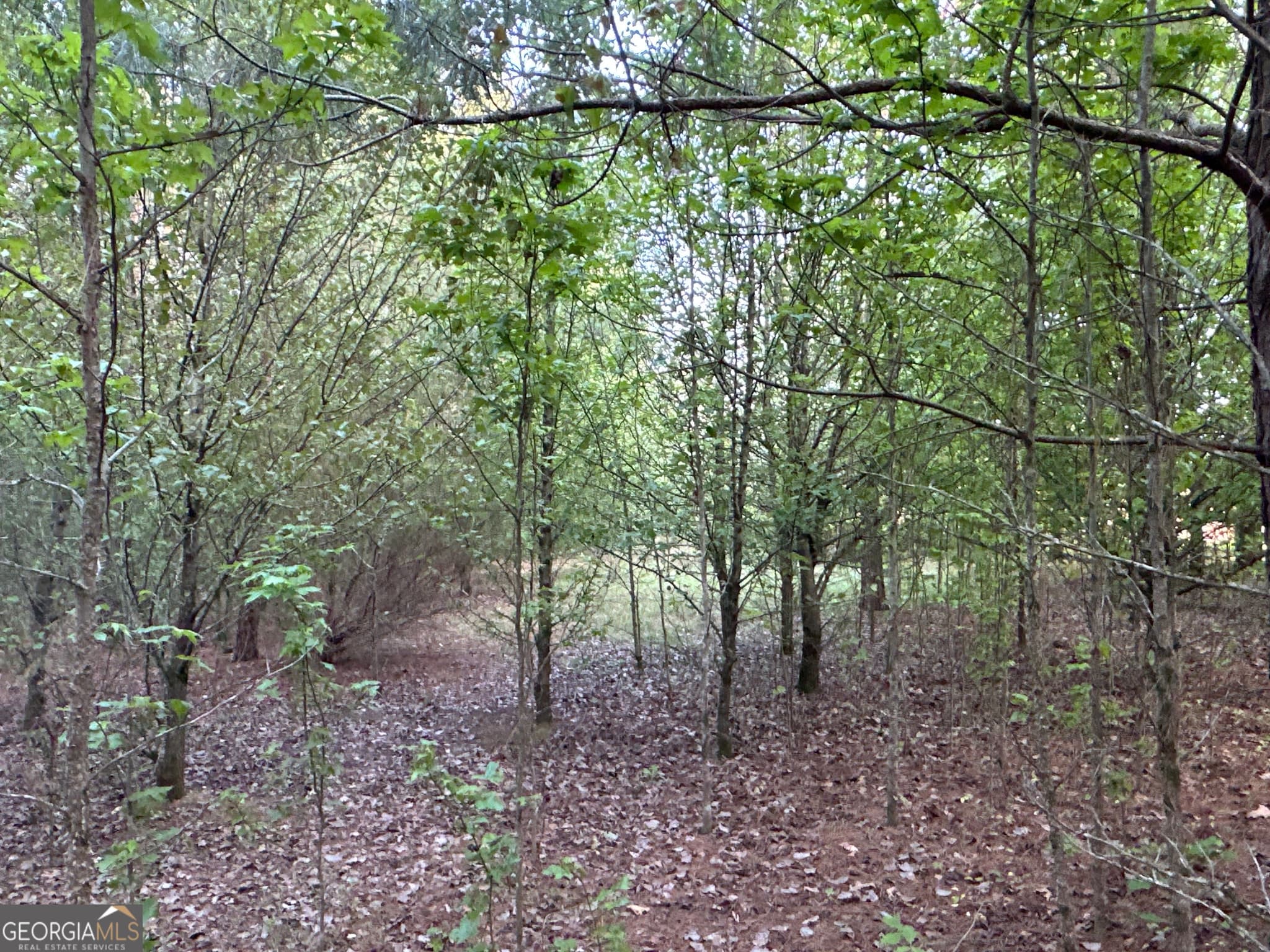 unimproved land for sale at LOT 7 County Road 520, Centre, AL 35960 — photo 5