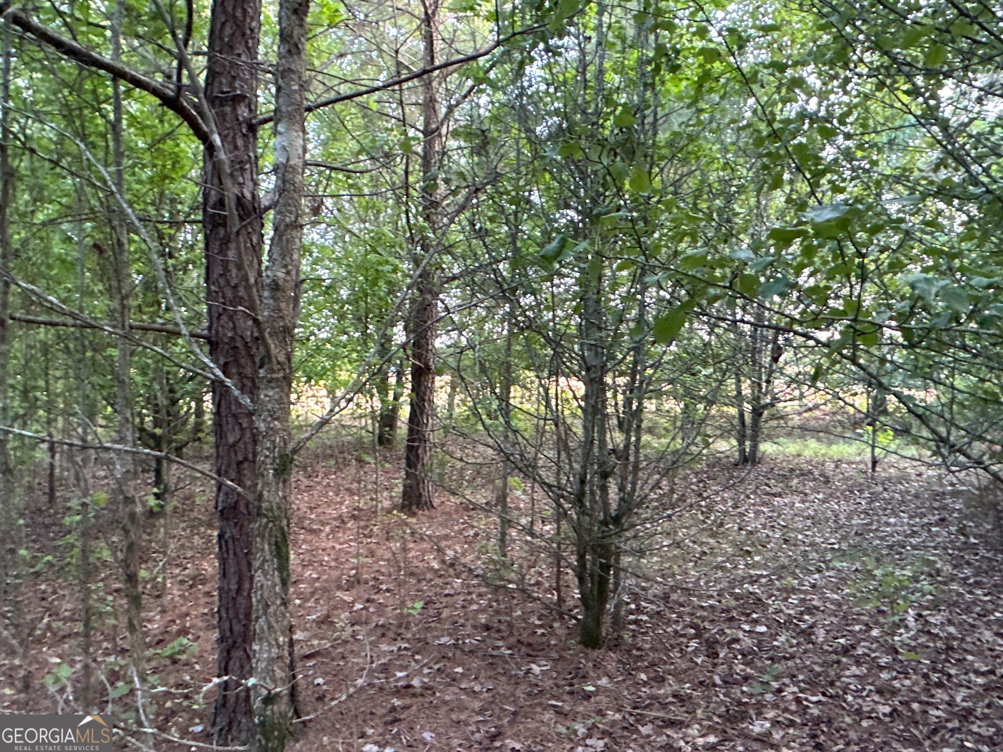 unimproved land for sale at LOT 7 County Road 520, Centre, AL 35960 — photo 4