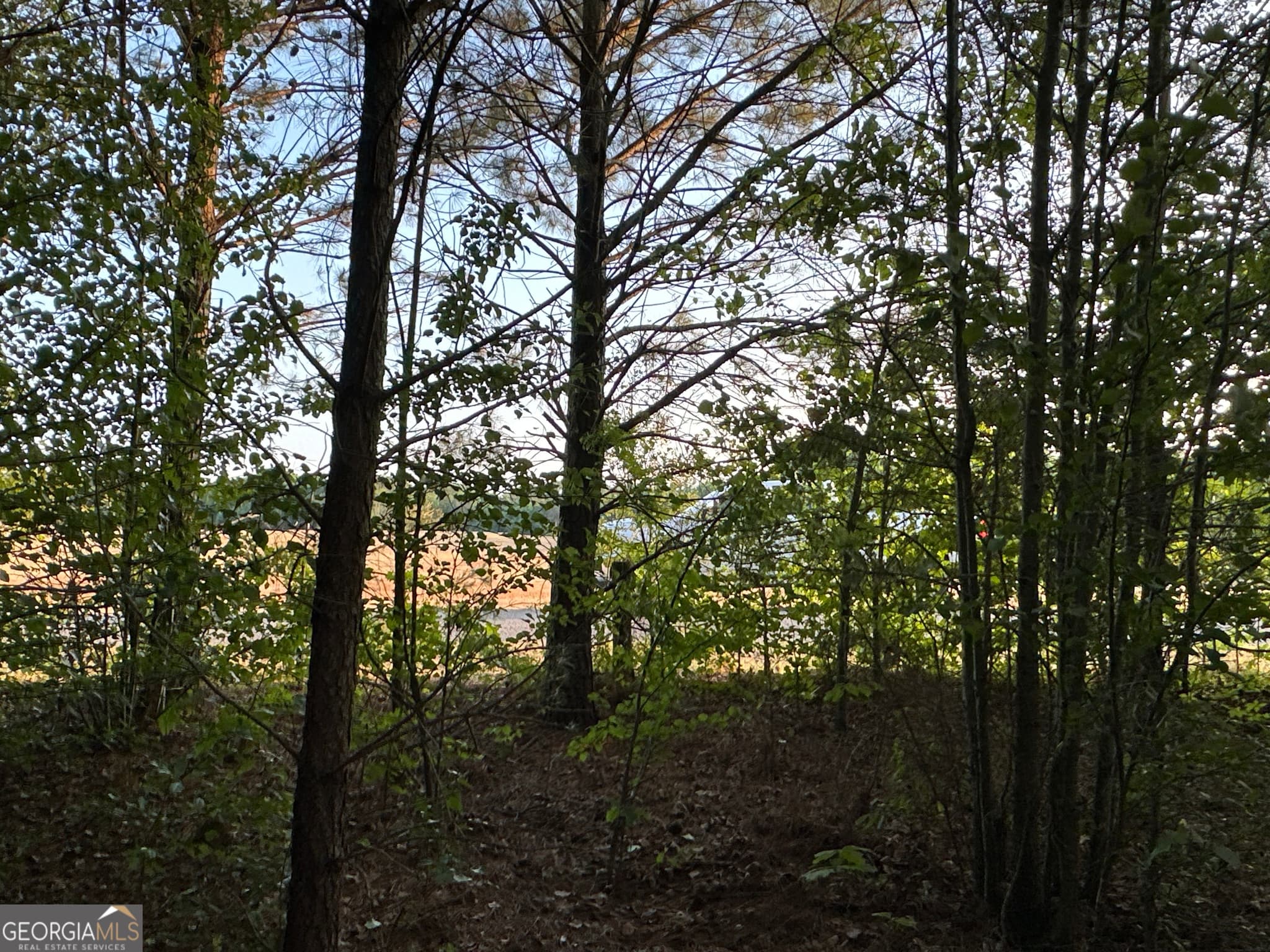 unimproved land for sale at LOT 7 County Road 520, Centre, AL 35960 — photo 8