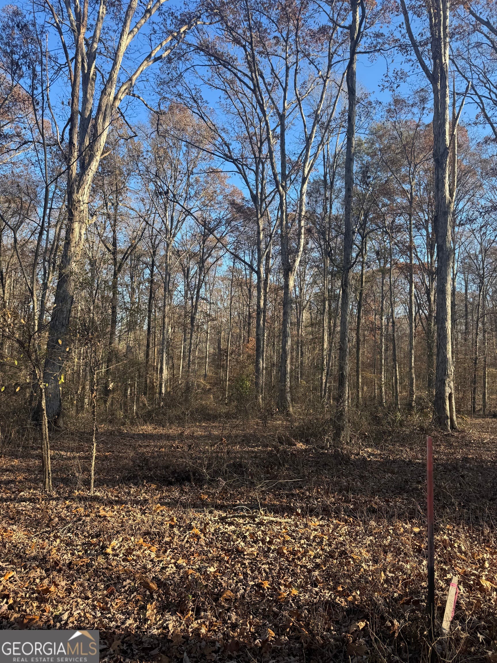 residential lot for sale at 2661 Oakley Trail, Statham, GA 30666 — photo 6