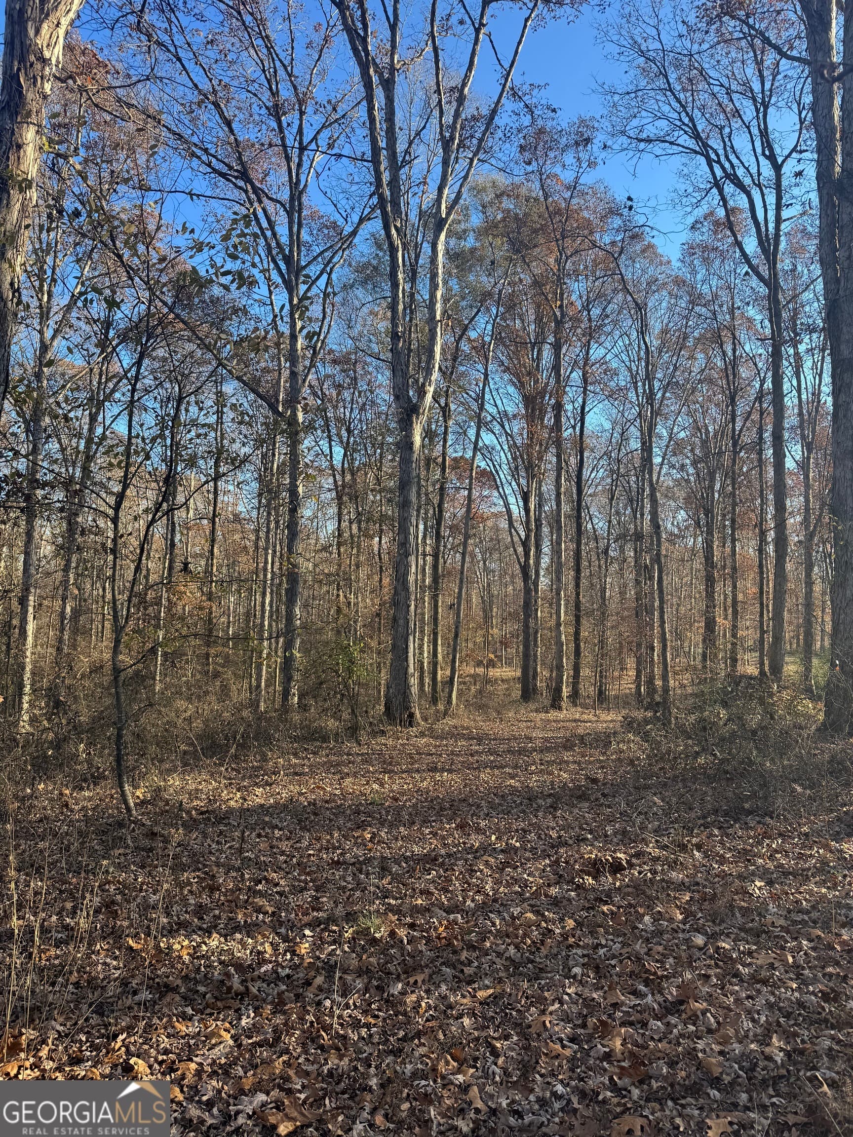 residential lot for sale at 2661 Oakley Trail, Statham, GA 30666 — photo 7