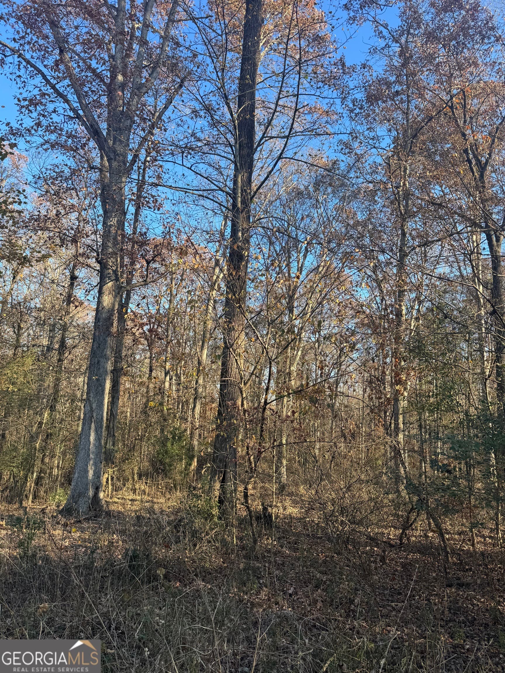 residential lot for sale at 2661 Oakley Trail, Statham, GA 30666 — photo 3