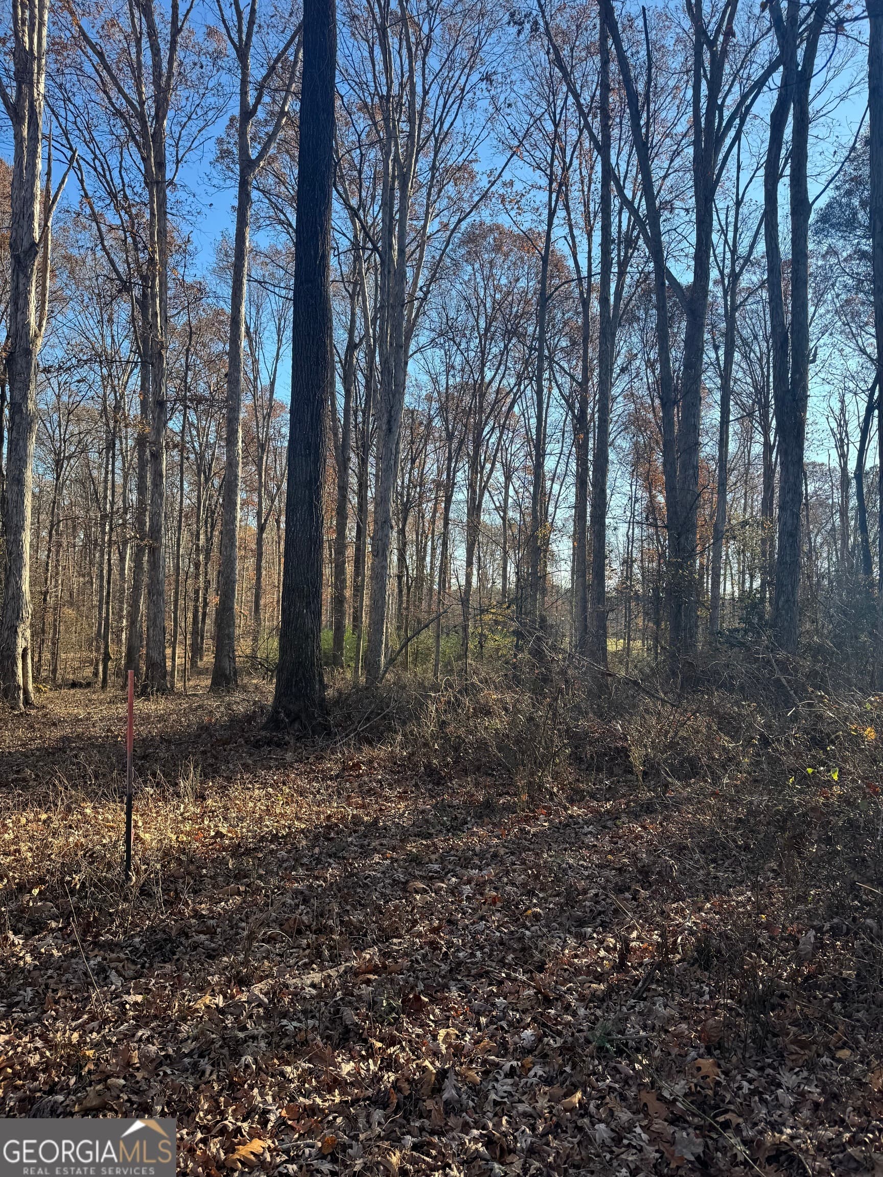 residential lot for sale at 2661 Oakley Trail, Statham, GA 30666 — photo 5