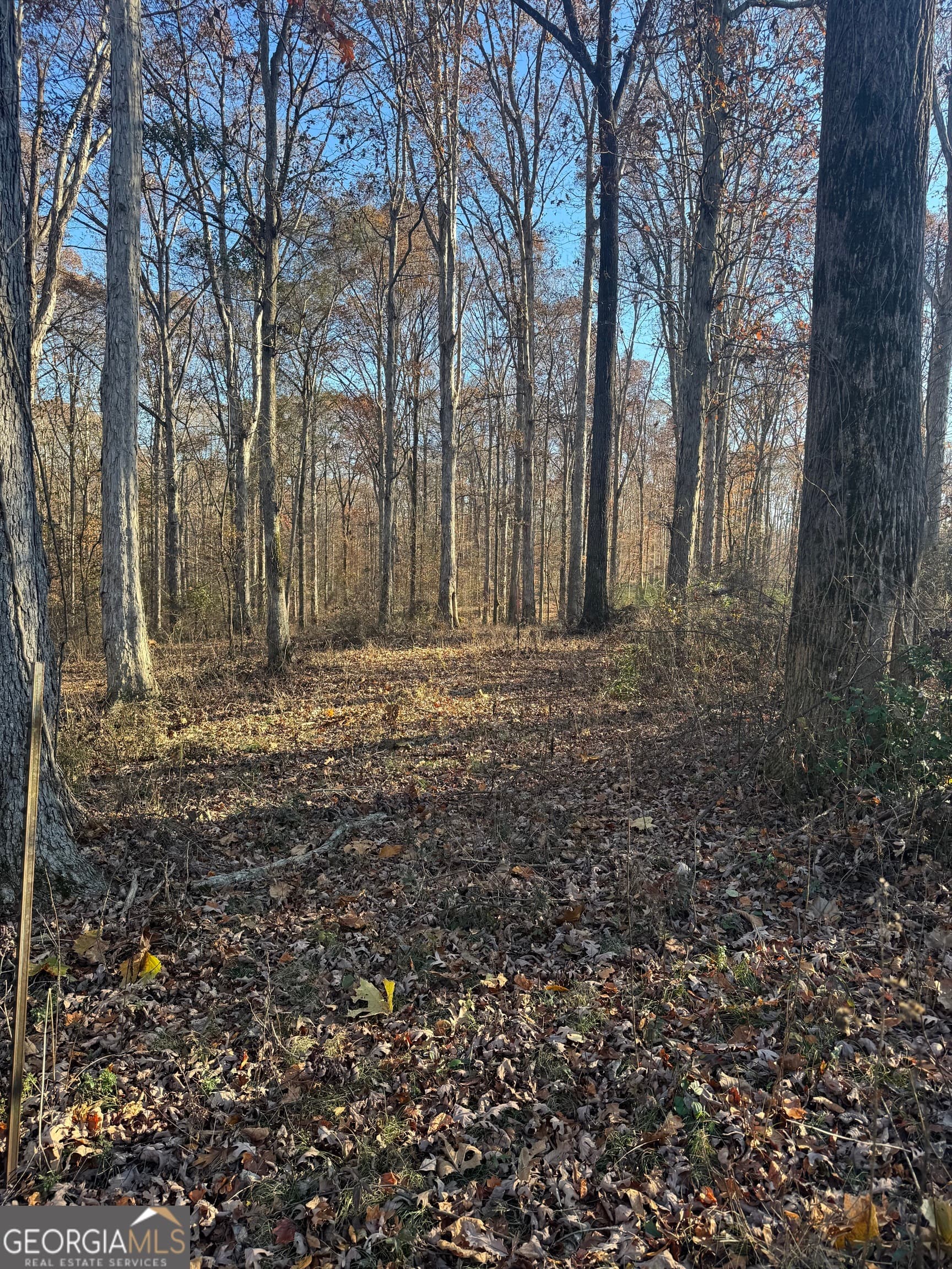 residential lot for sale at 2661 Oakley Trail, Statham, GA 30666 — photo 4