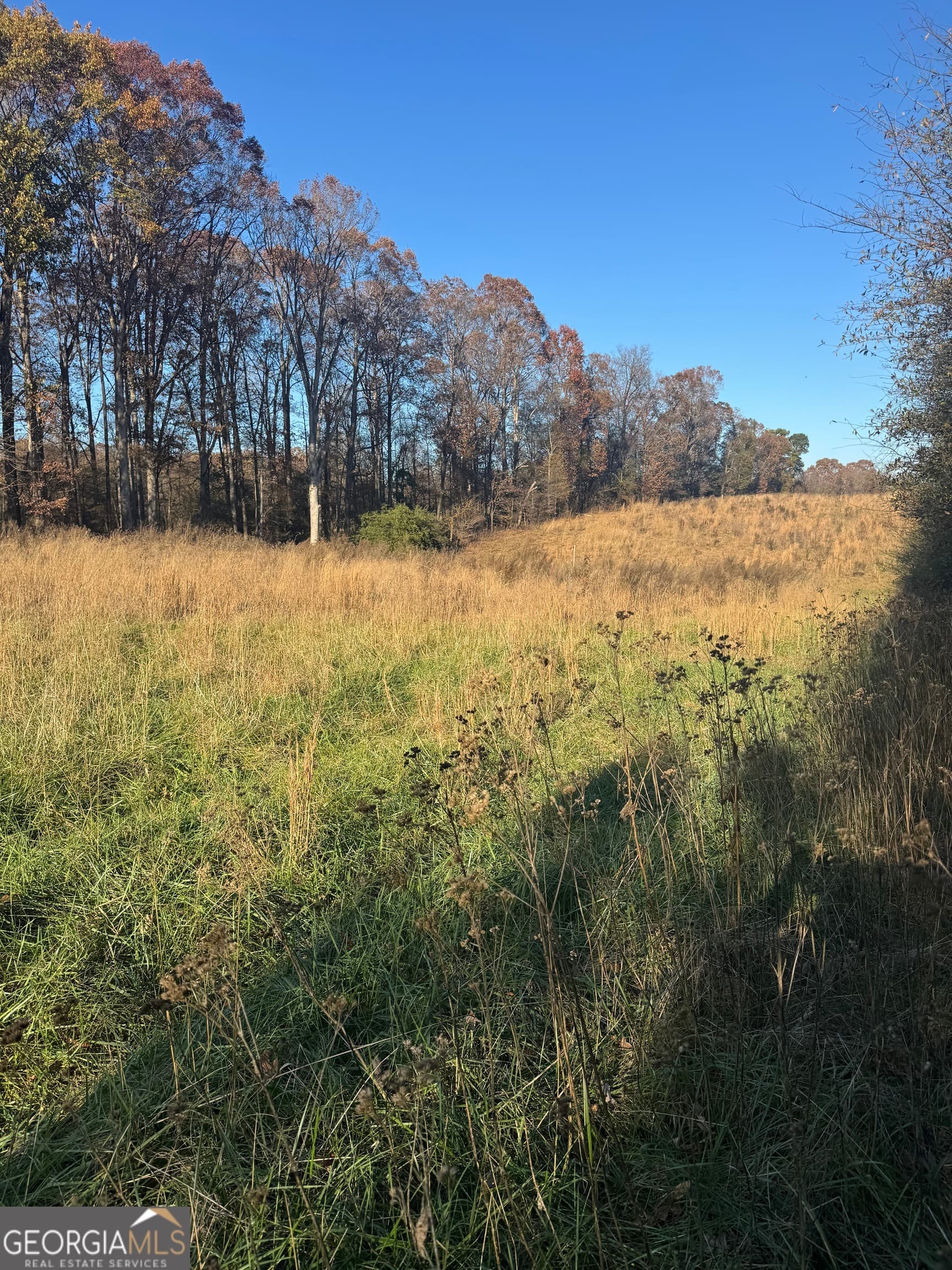 residential lot for sale at 2661 Oakley Trail, Statham, GA 30666 — photo 8
